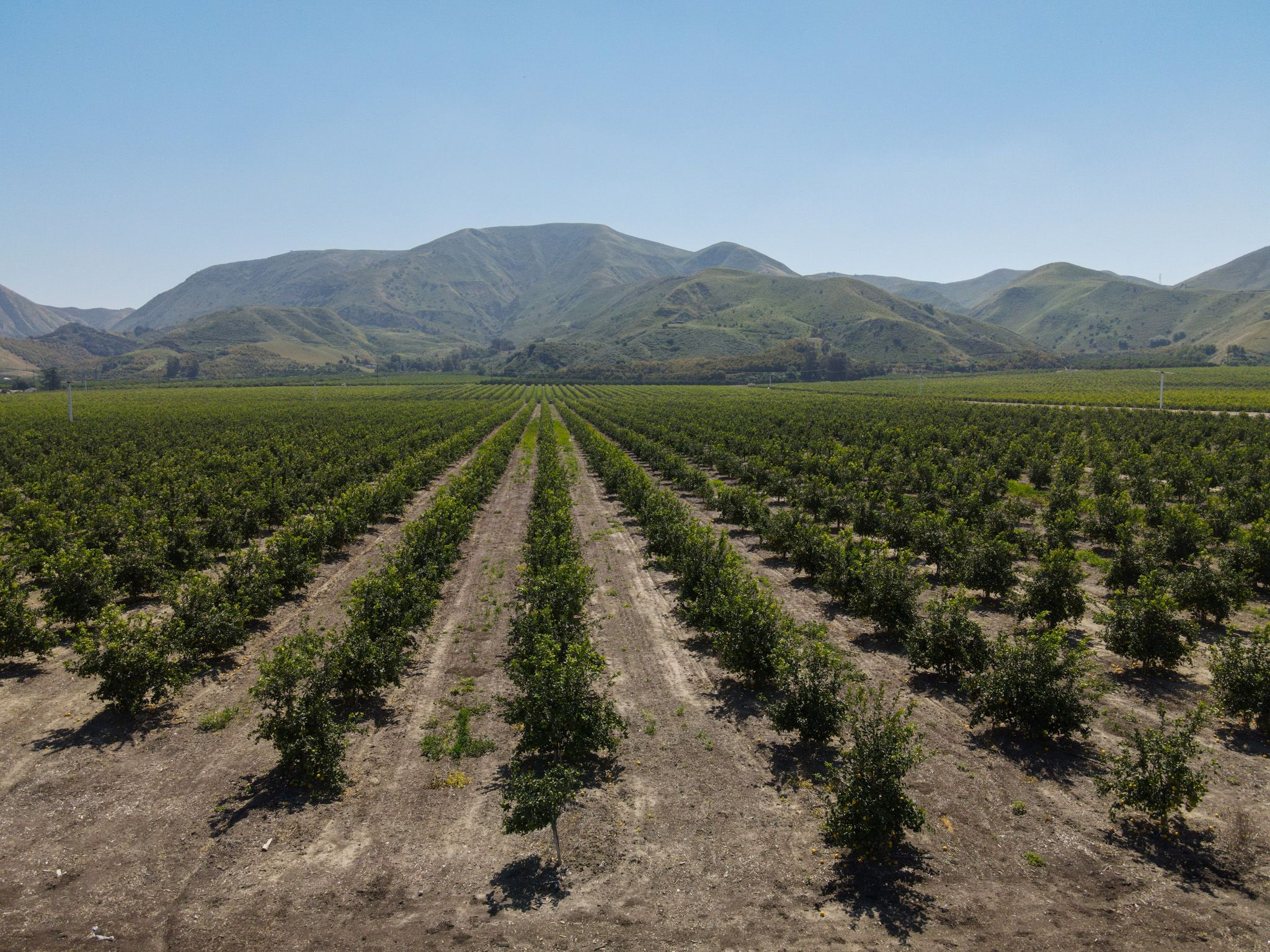Listing Photo: Ventura-County-306-Acres-Lemon-Grove-Sale