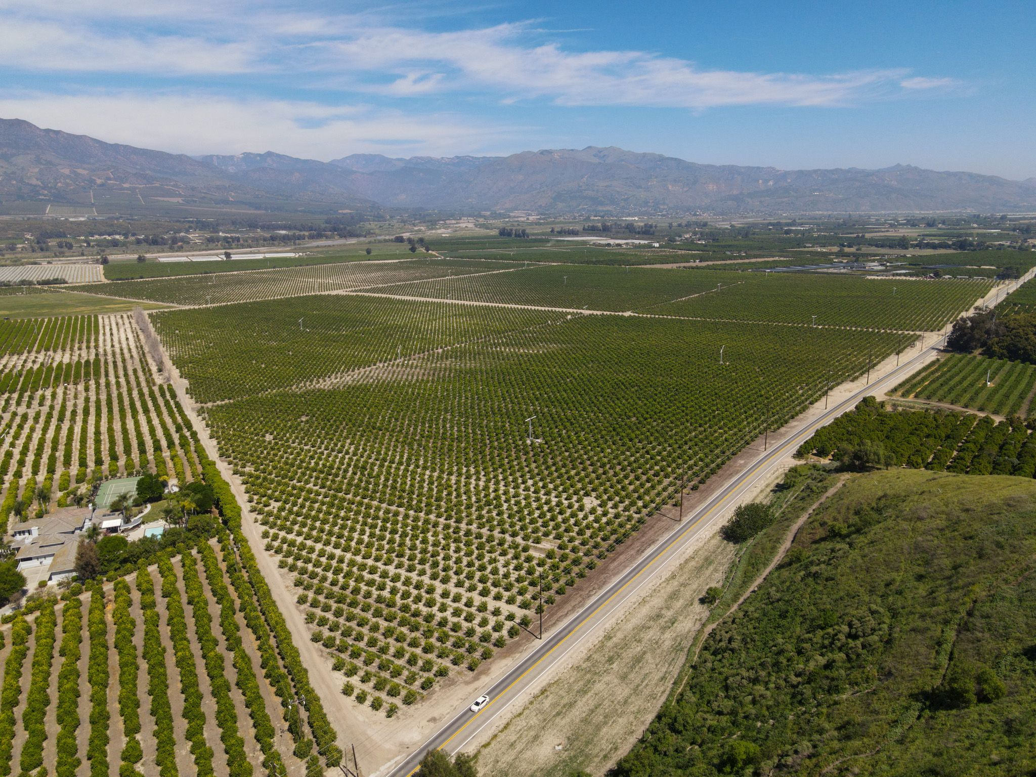 Listing Photo: Ventura-County-306-Acres-Lemon-Grove-Sale