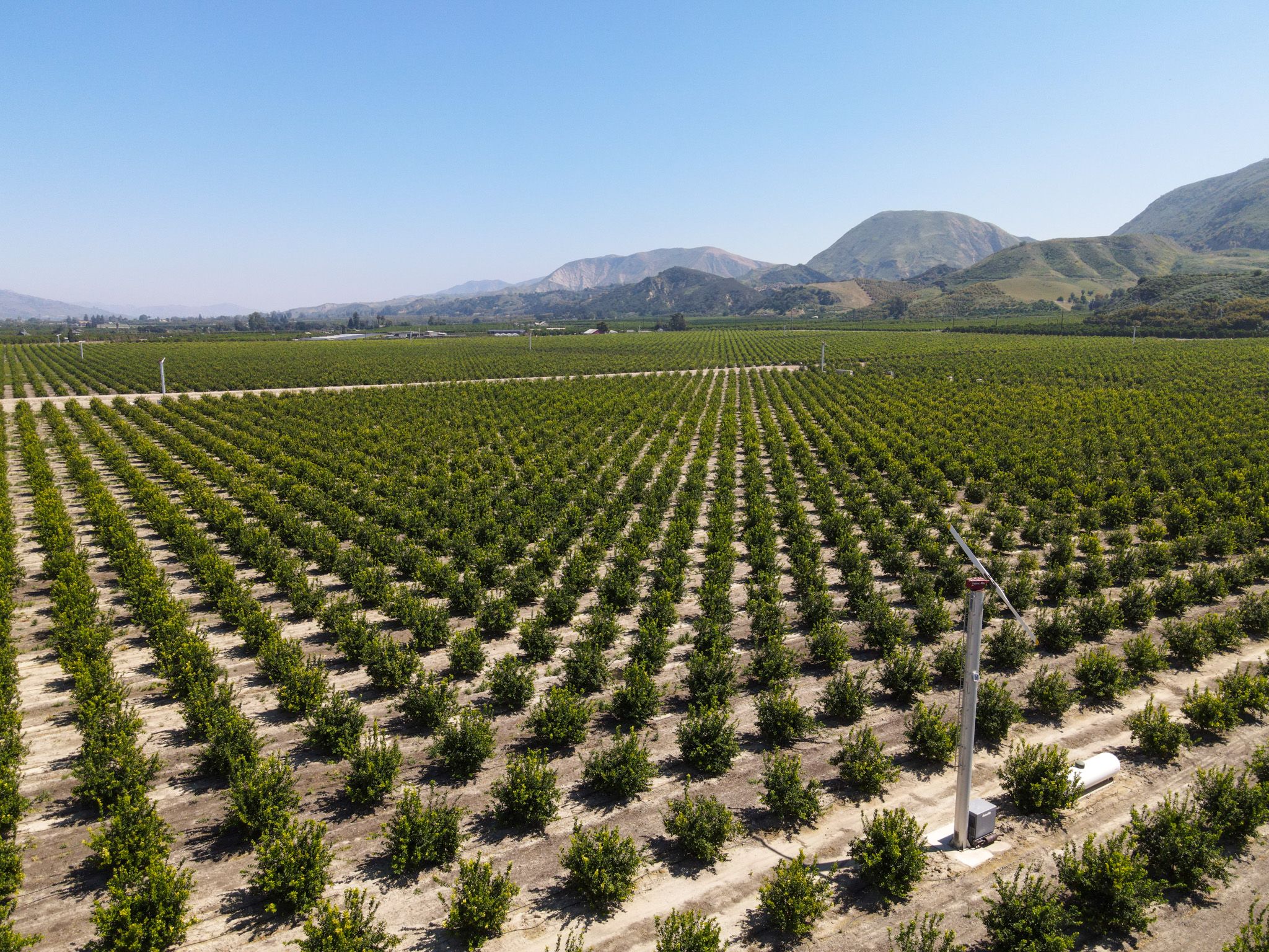 Listing Photo: Ventura-County-306-Acres-Lemon-Grove-Sale