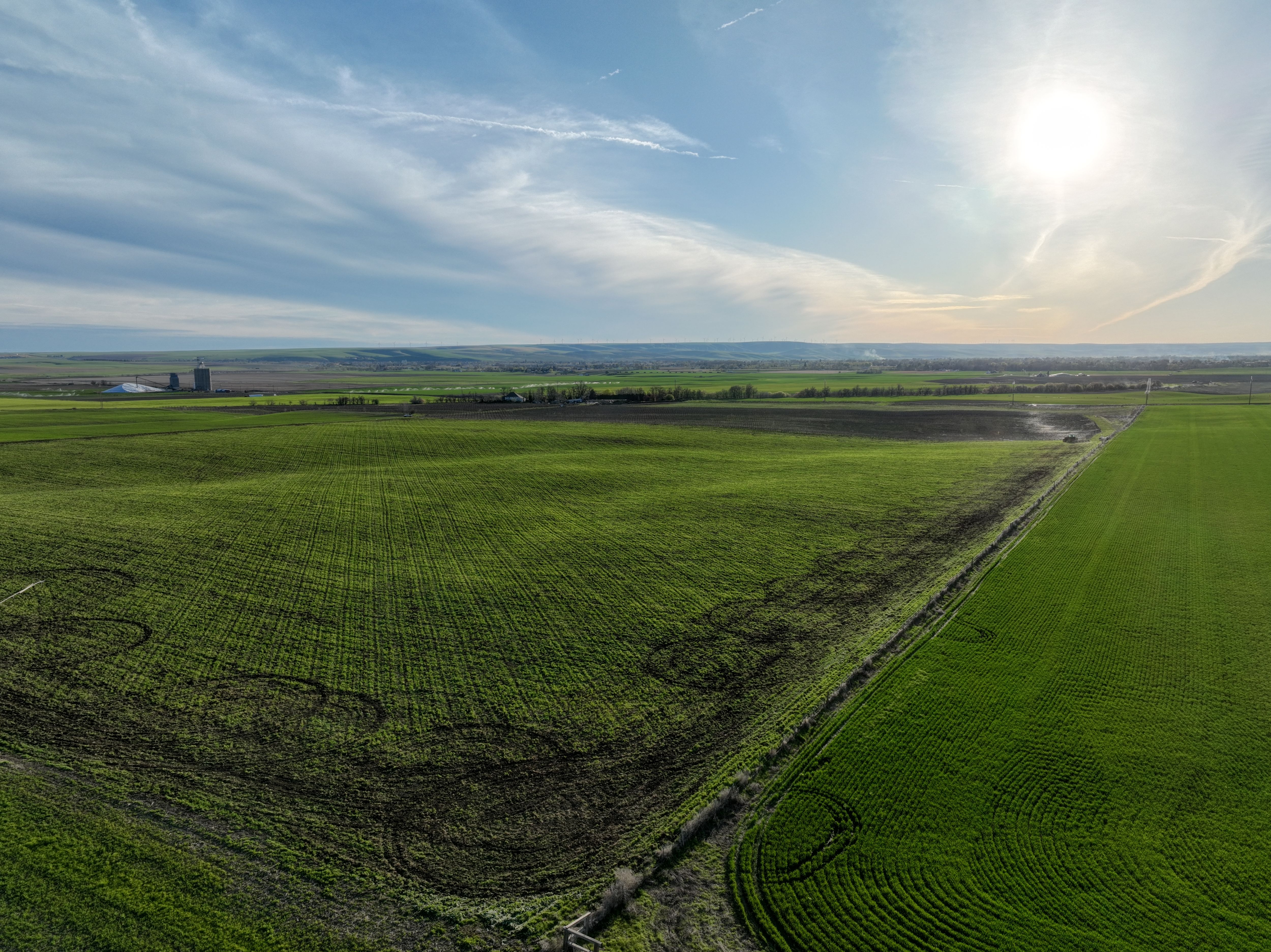Listing Photo: Umatilla-County-OR-208.00-Acres(3)