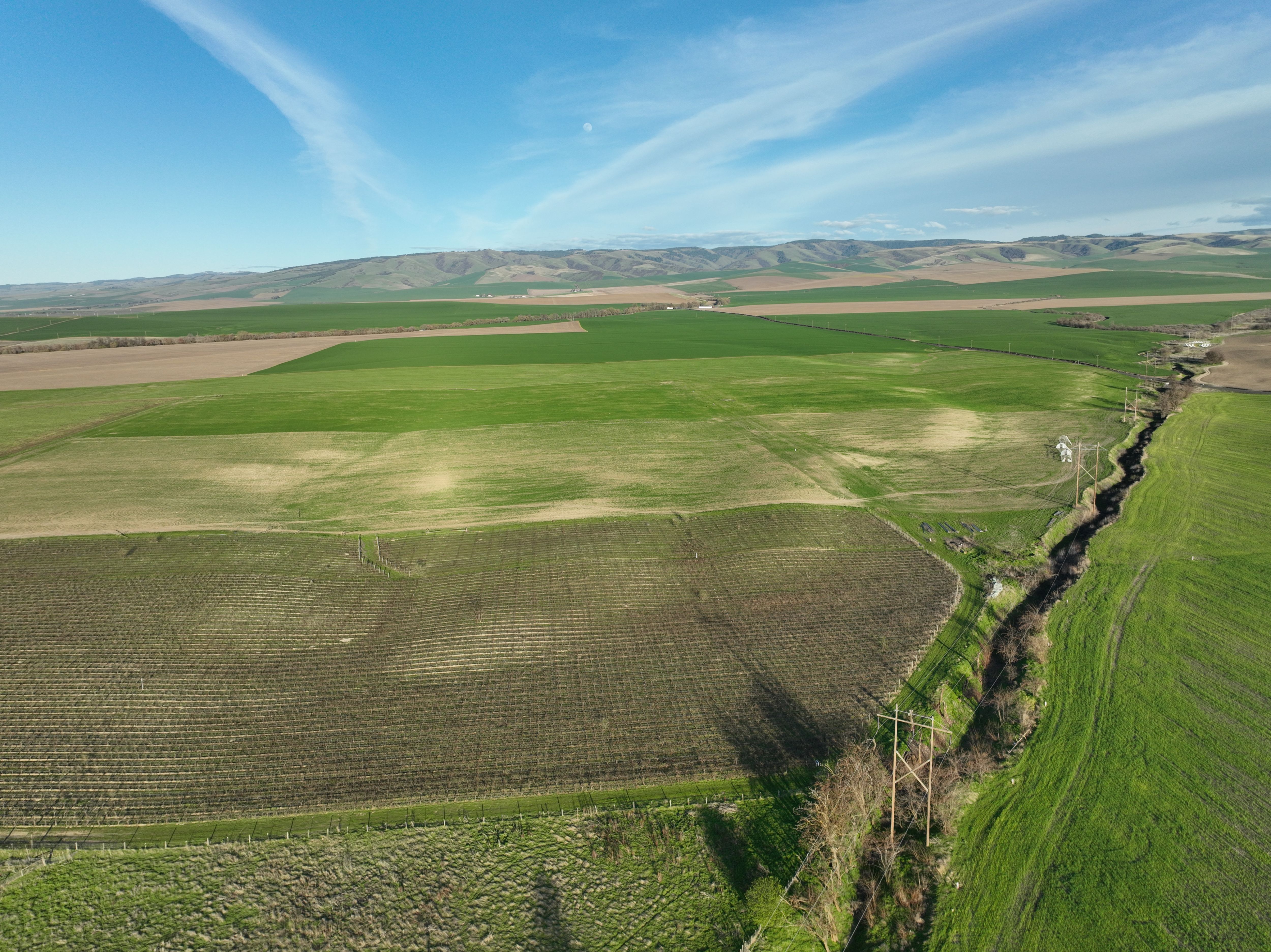Listing Photo: Umatilla-County-OR-208.00-Acres(4)