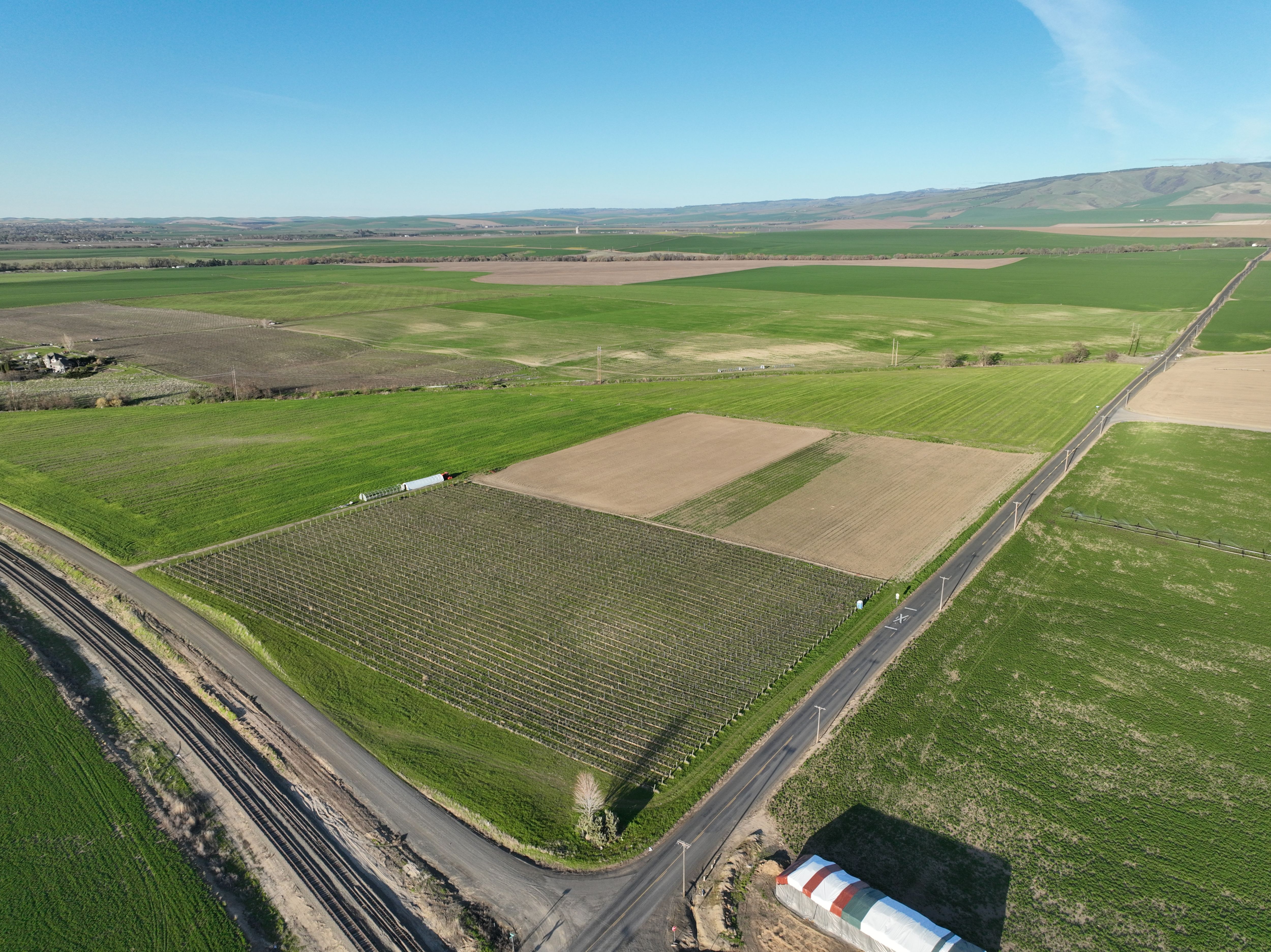 Listing Photo: Umatilla-County-OR-208.00-Acres(5)