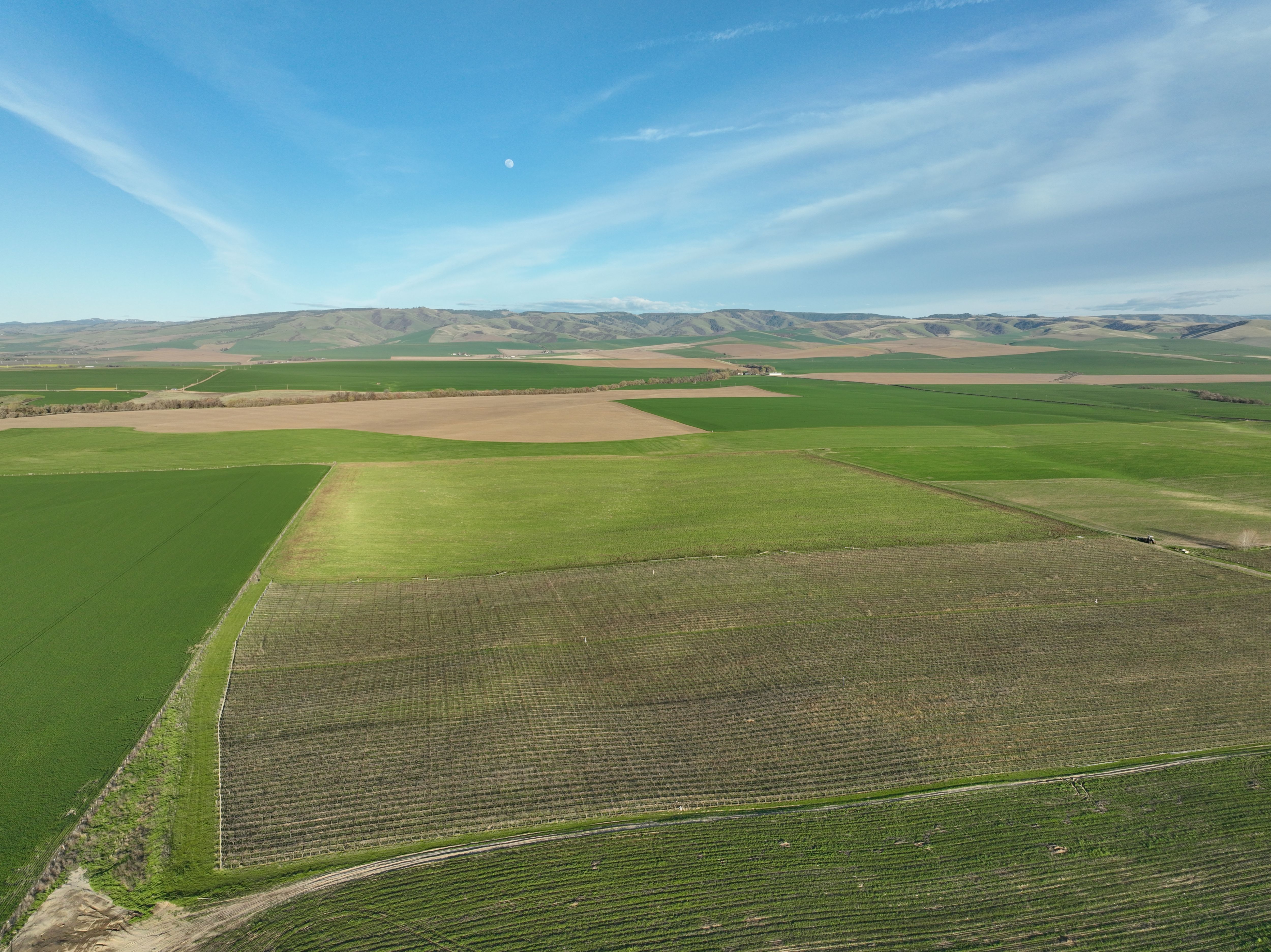 Listing Photo: Umatilla-County-OR-208.00-Acres(6)