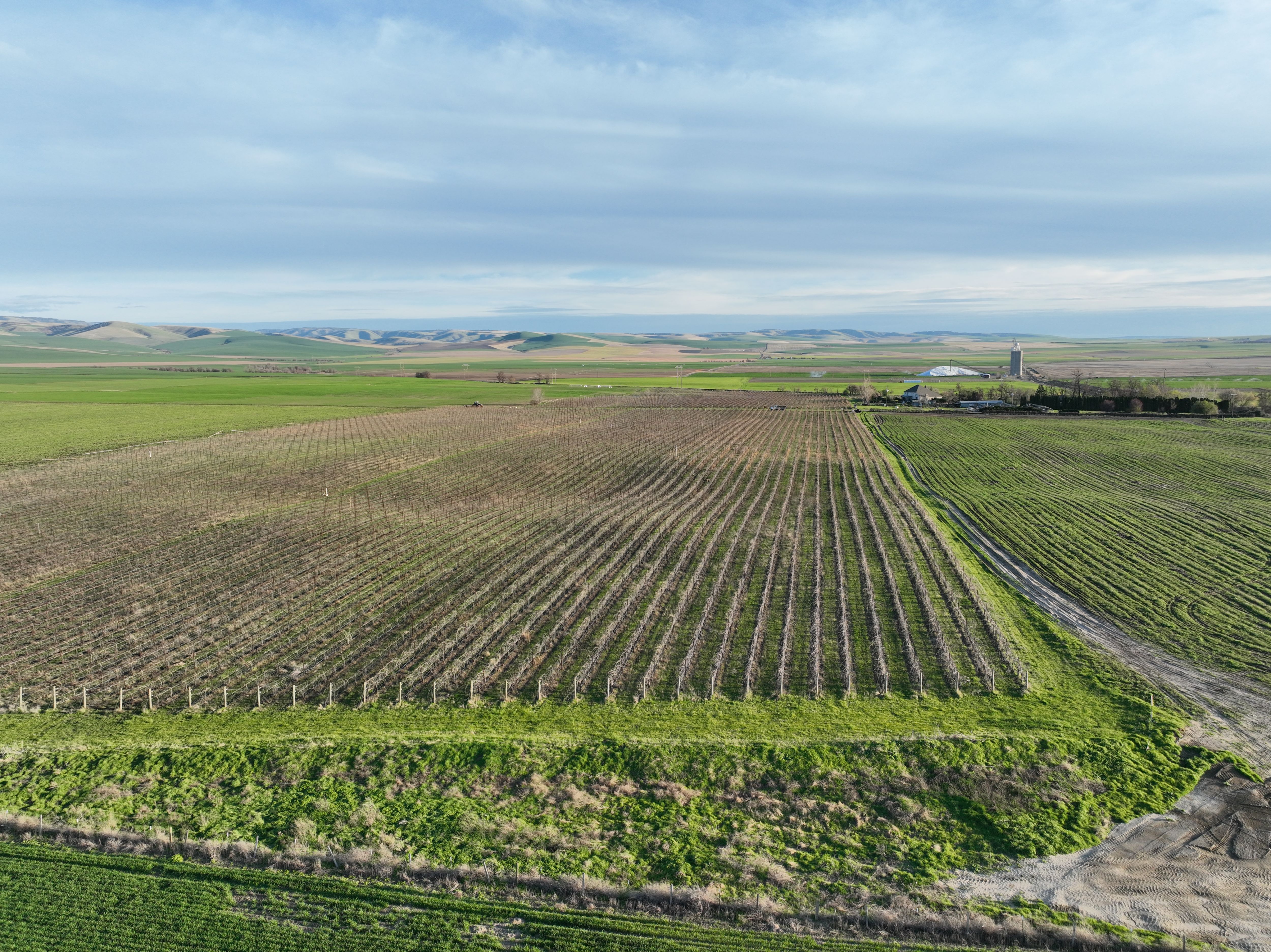 Listing Photo: Umatilla-County-OR-208.00-Acres(7)