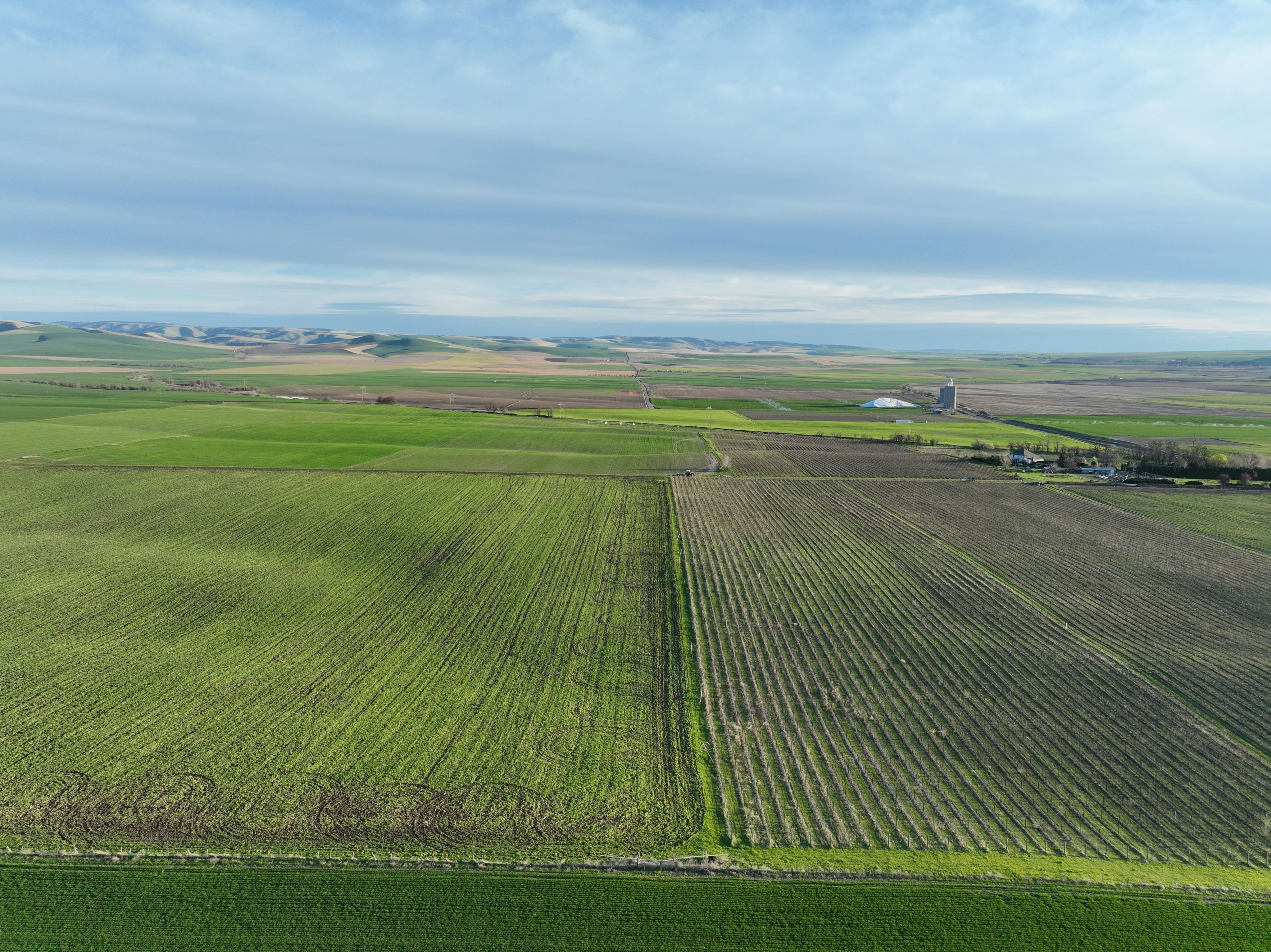 Listing Photo: Umatilla-County-OR-208.00-Acres(8)