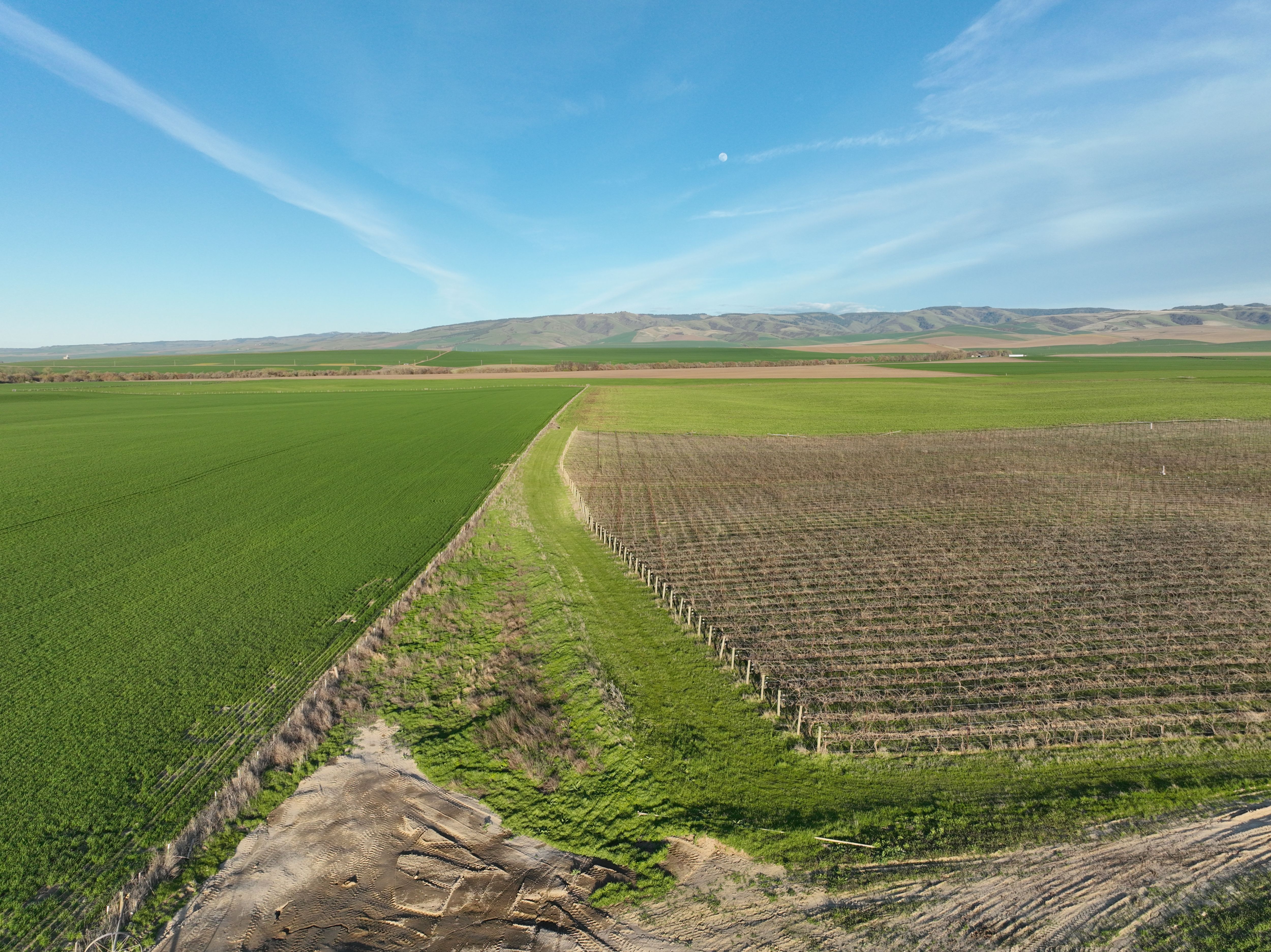 Listing Photo: Umatilla-County-OR-208.00-Acres(9)