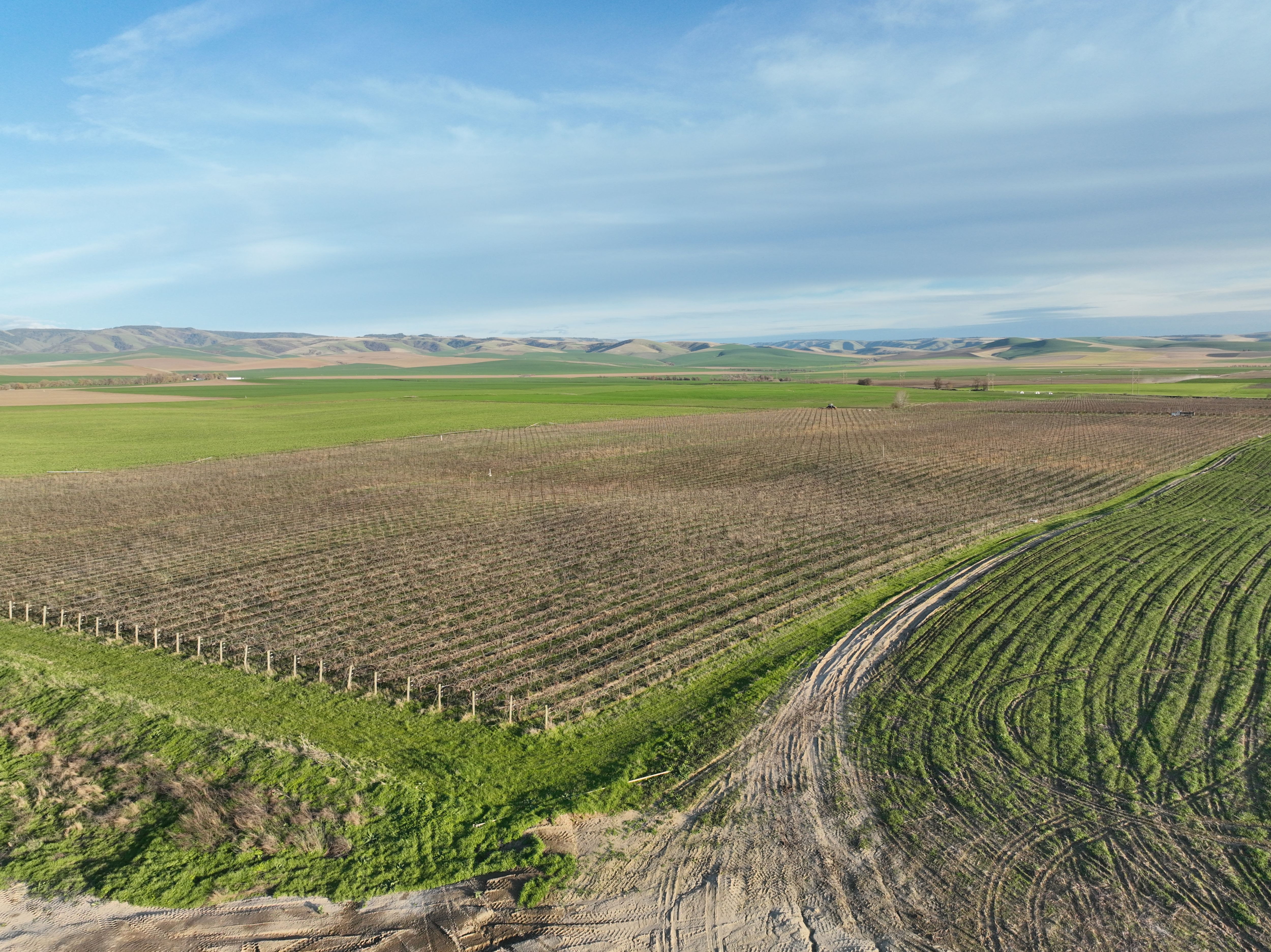 Listing Photo: Umatilla-County-OR-208.00-Acres(10)