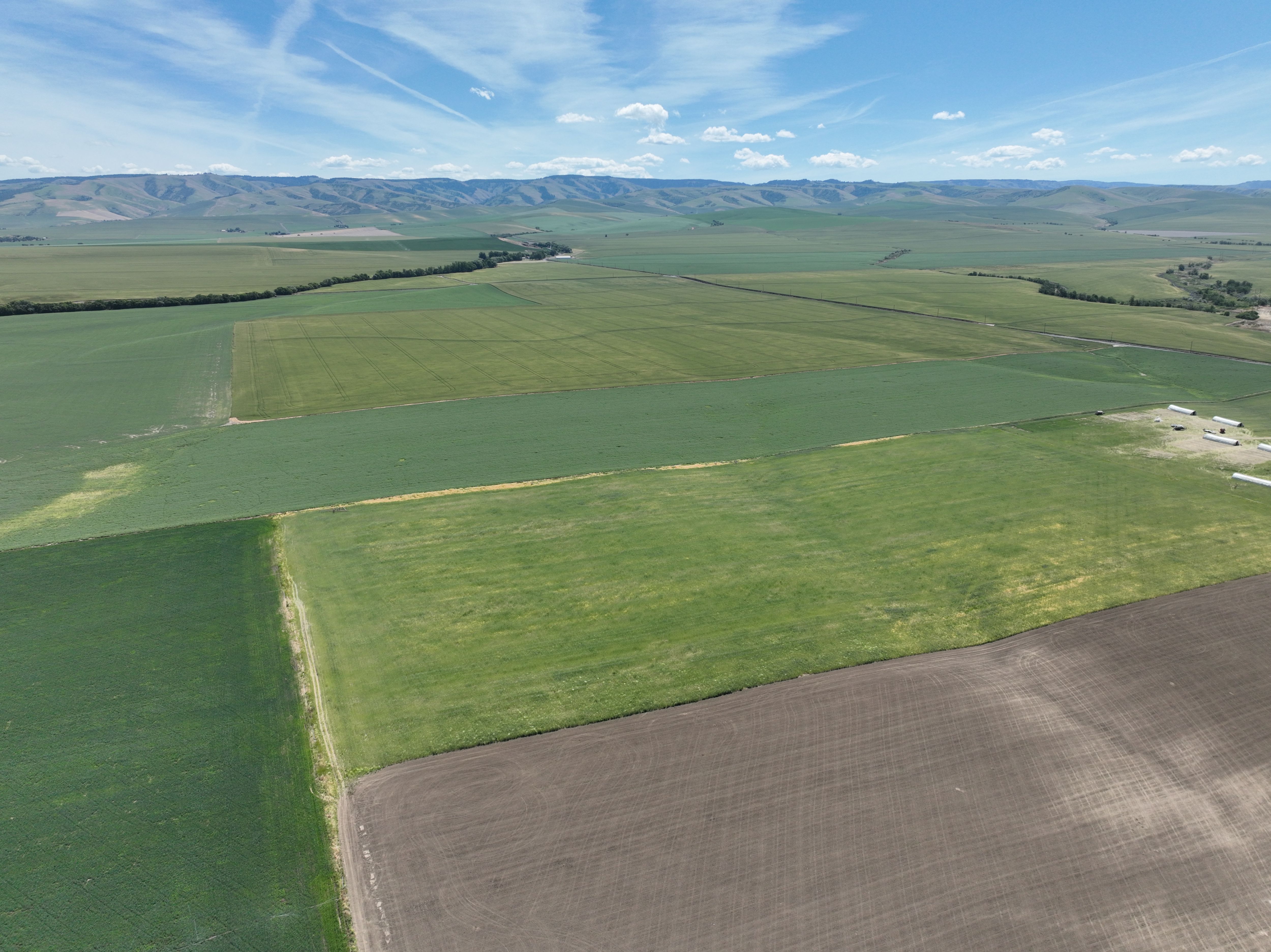 Listing Photo: Umatilla-County-OR-208.00-Acres(11)