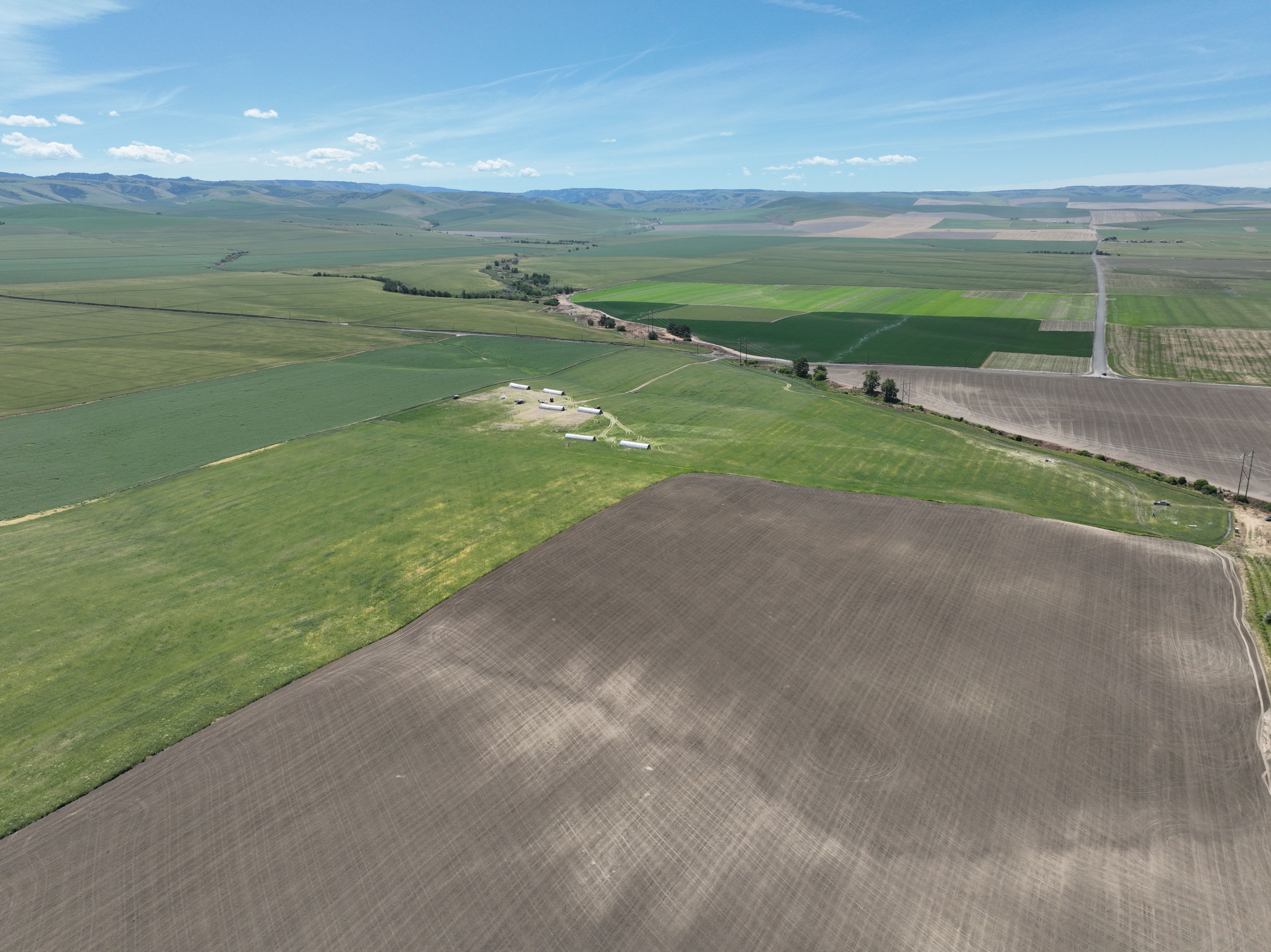 Listing Photo: Umatilla-County-OR-208.00-Acres(12)