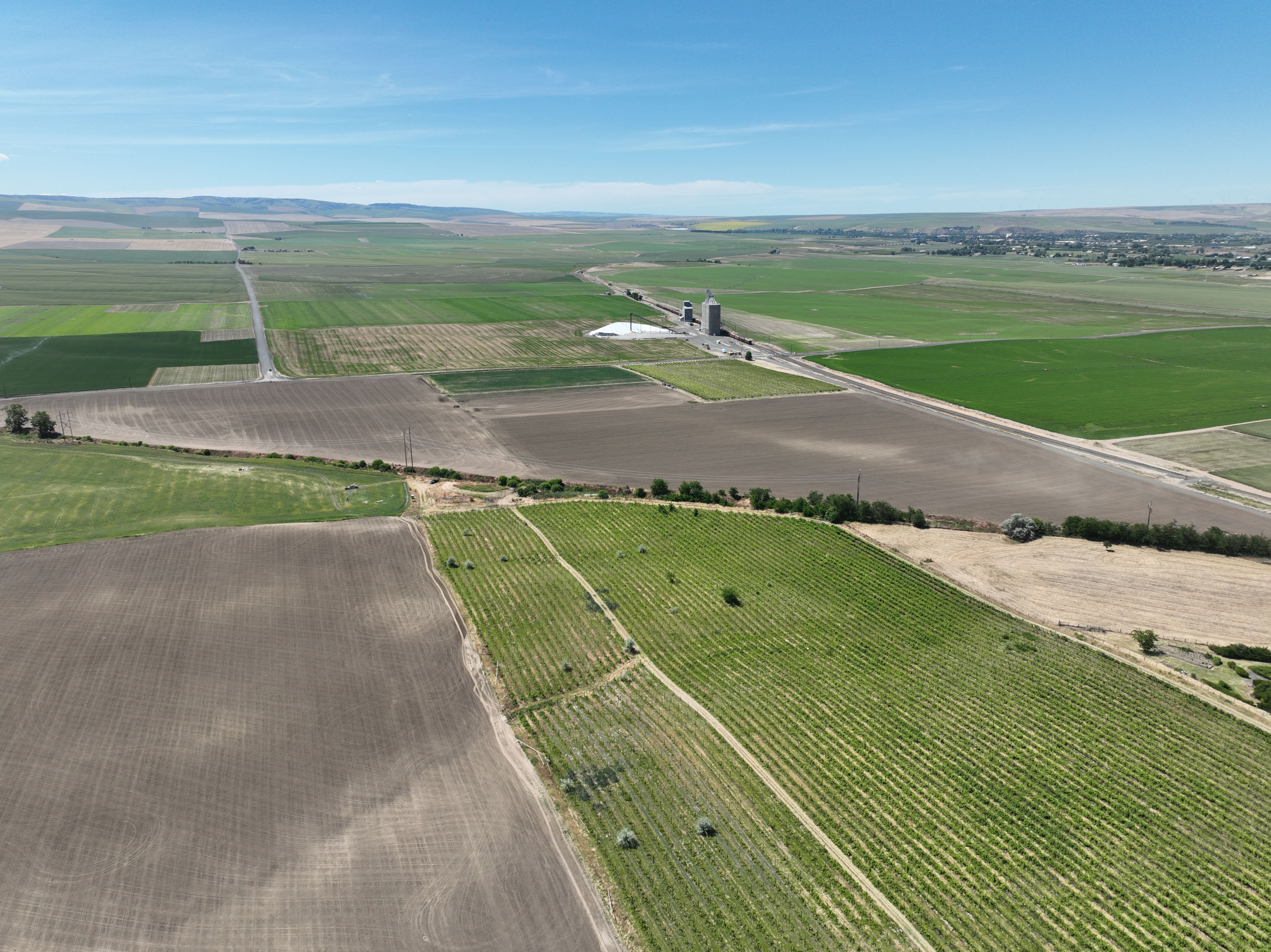 Listing Photo: Umatilla-County-OR-208.00-Acres(13)