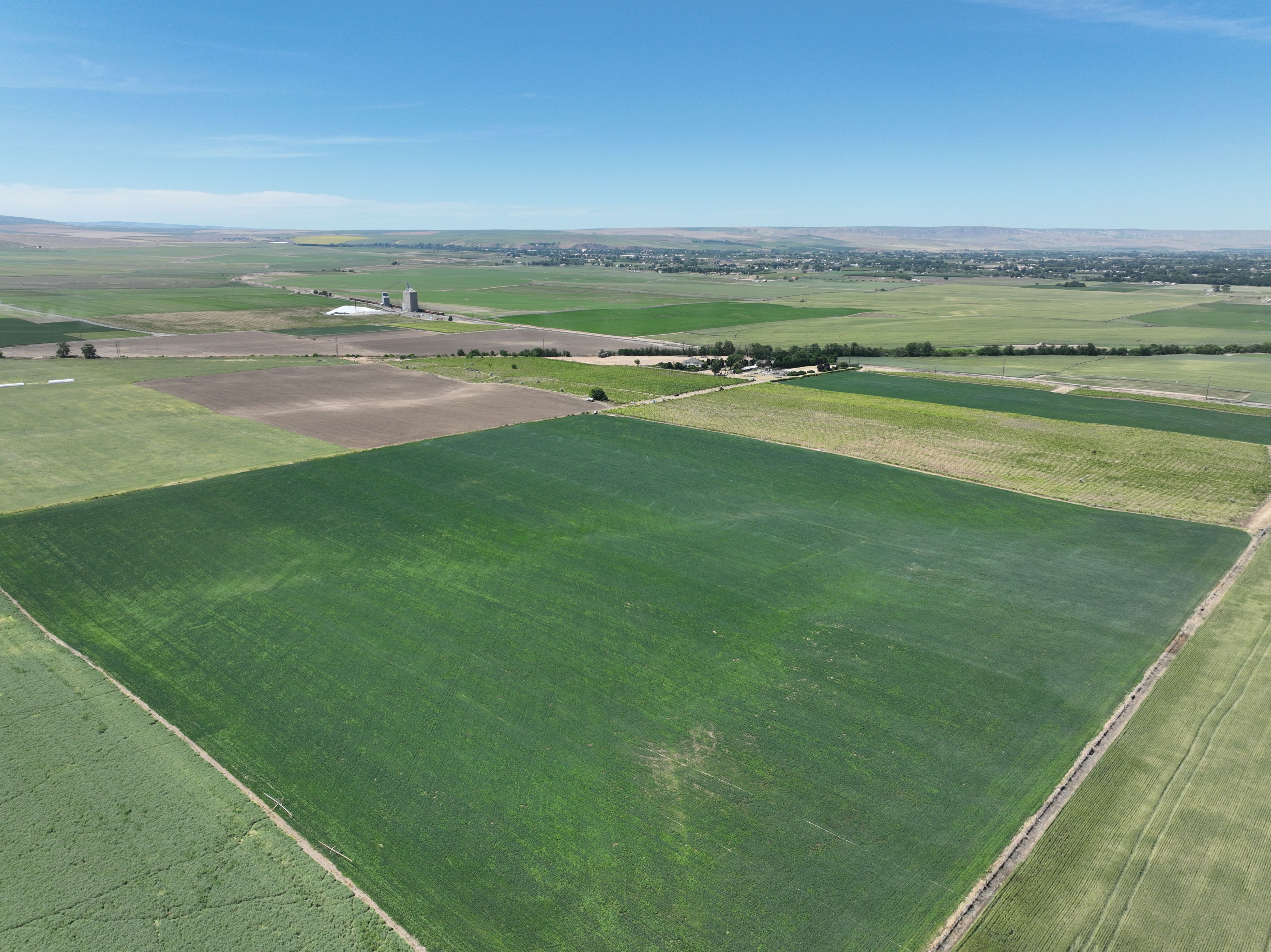 Listing Photo: Umatilla-County-OR-208.00-Acres(14)