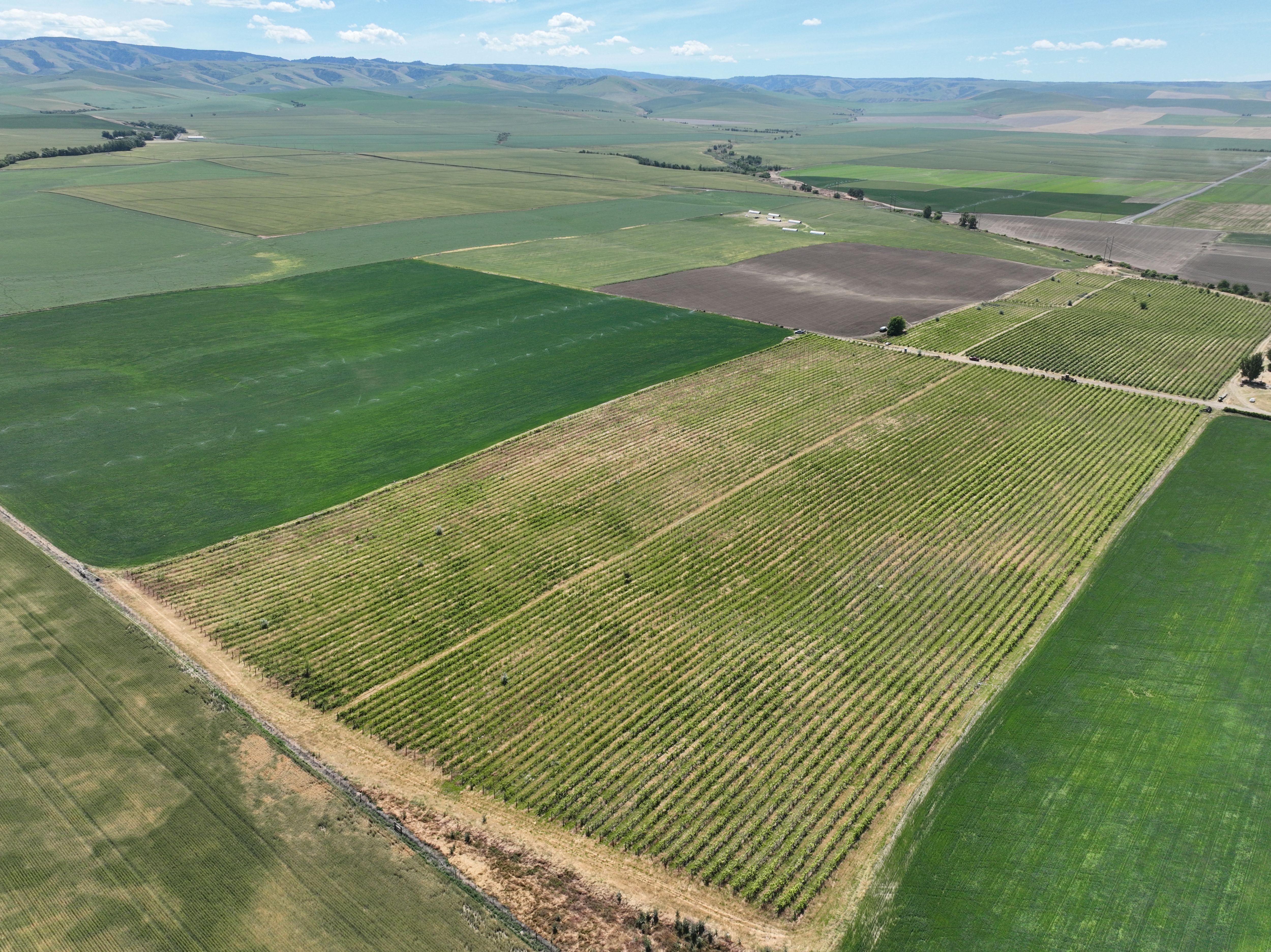Listing Photo: Umatilla-County-OR-208.00-Acres(15)