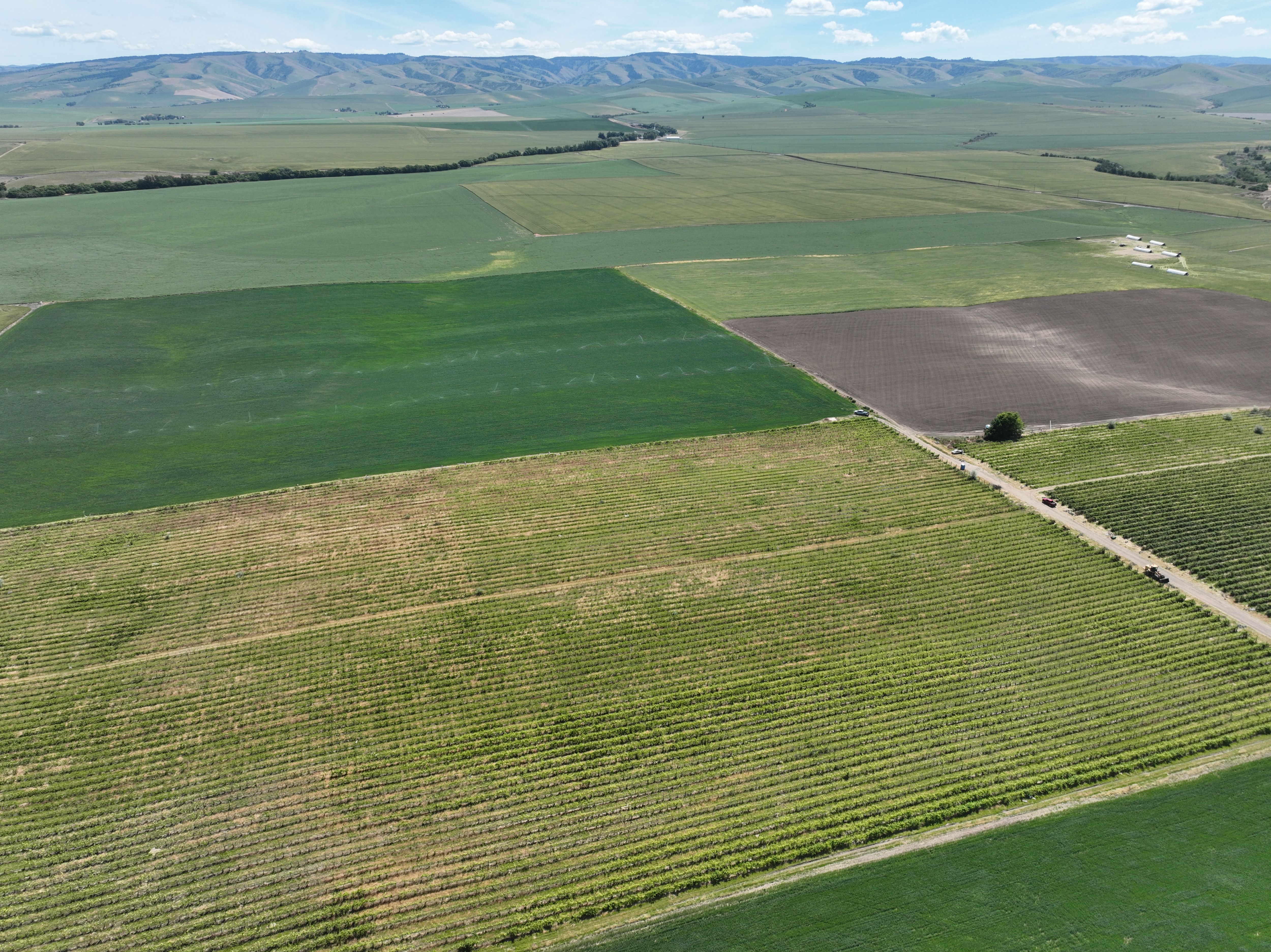 Listing Photo: Umatilla-County-OR-208.00-Acres(16)