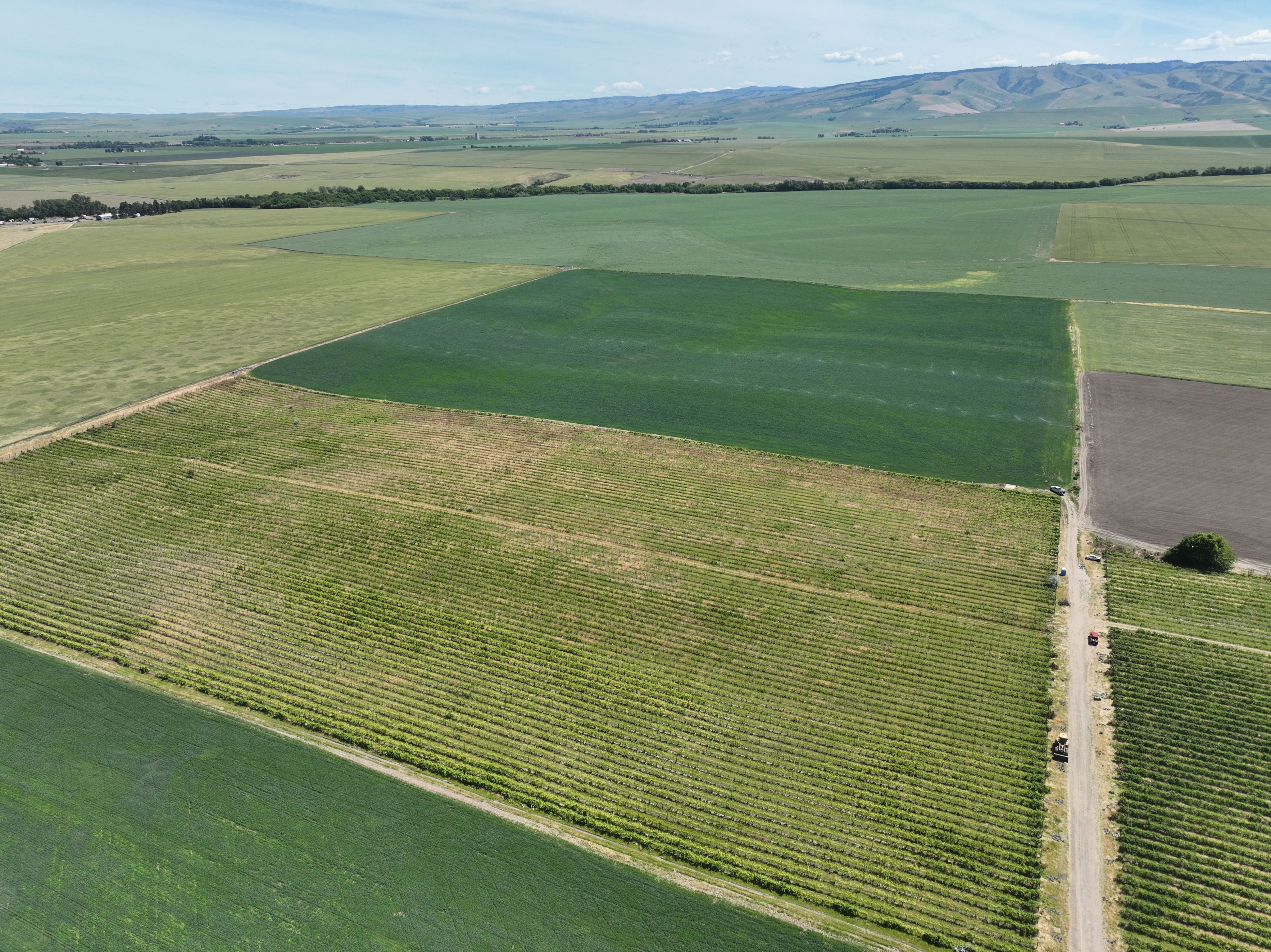 Listing Photo: Umatilla-County-OR-208.00-Acres(17)