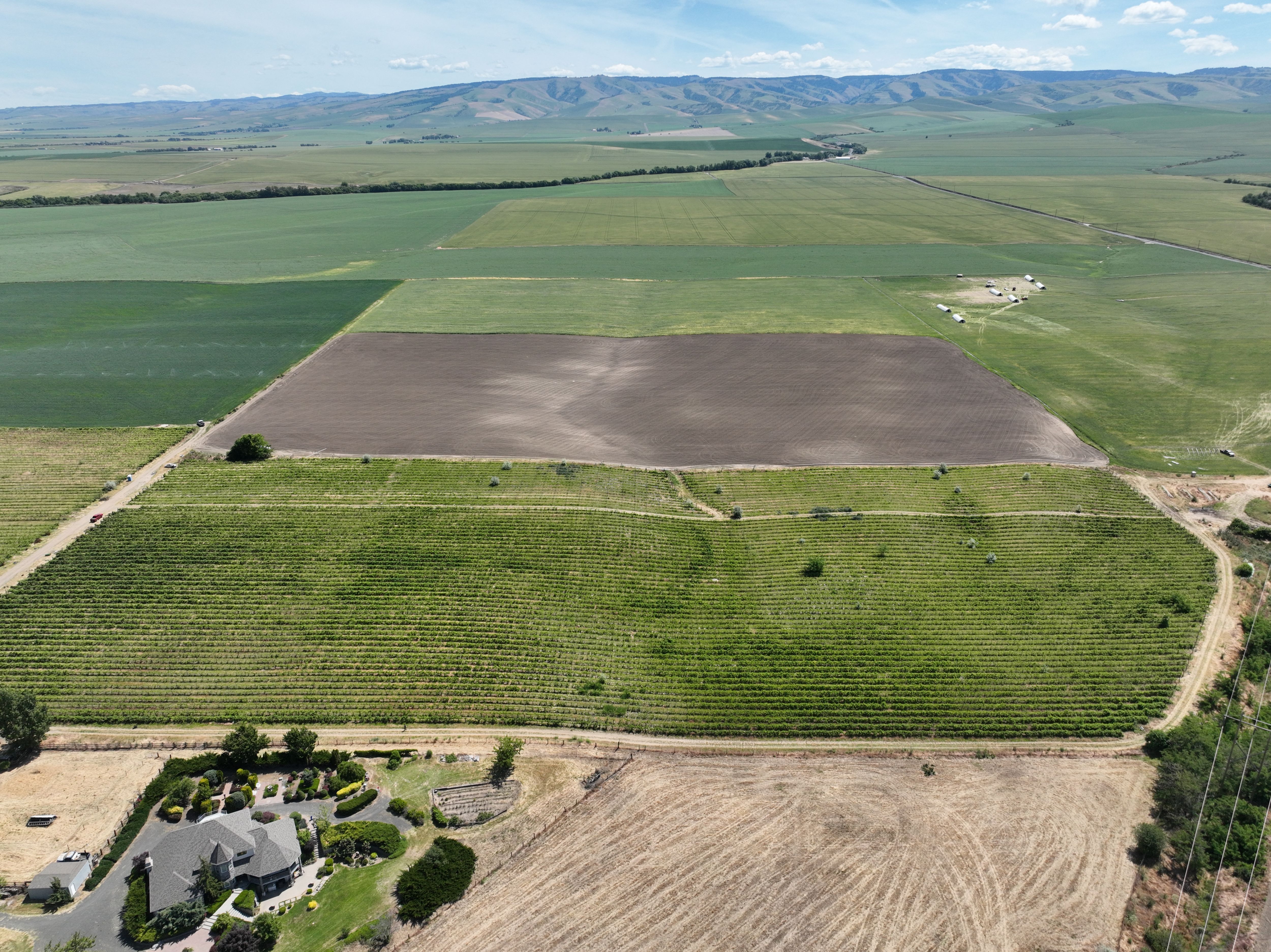 Listing Photo: Umatilla-County-OR-208.00-Acres(18)