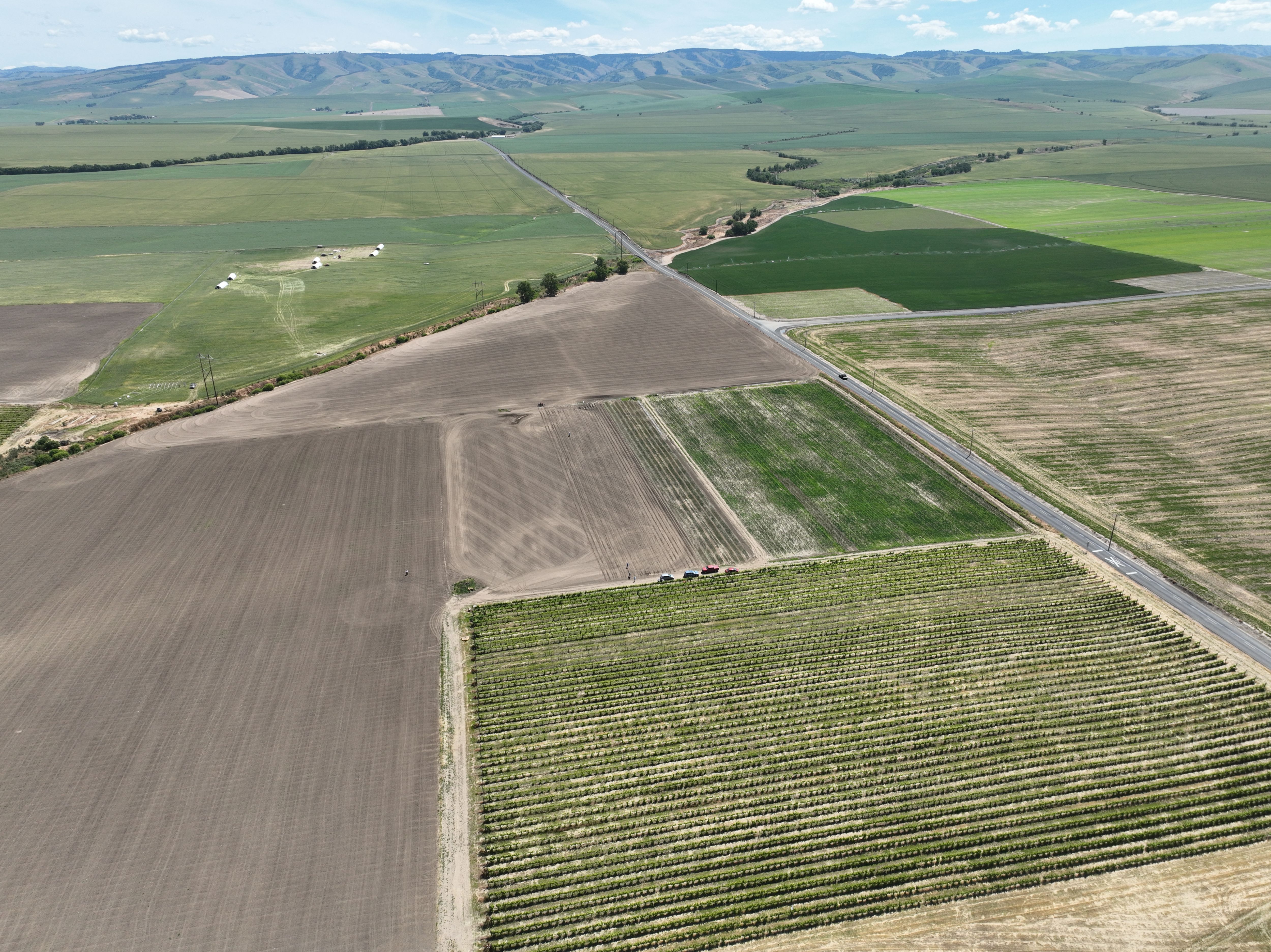 Listing Photo: Umatilla-County-OR-208.00-Acres(19)