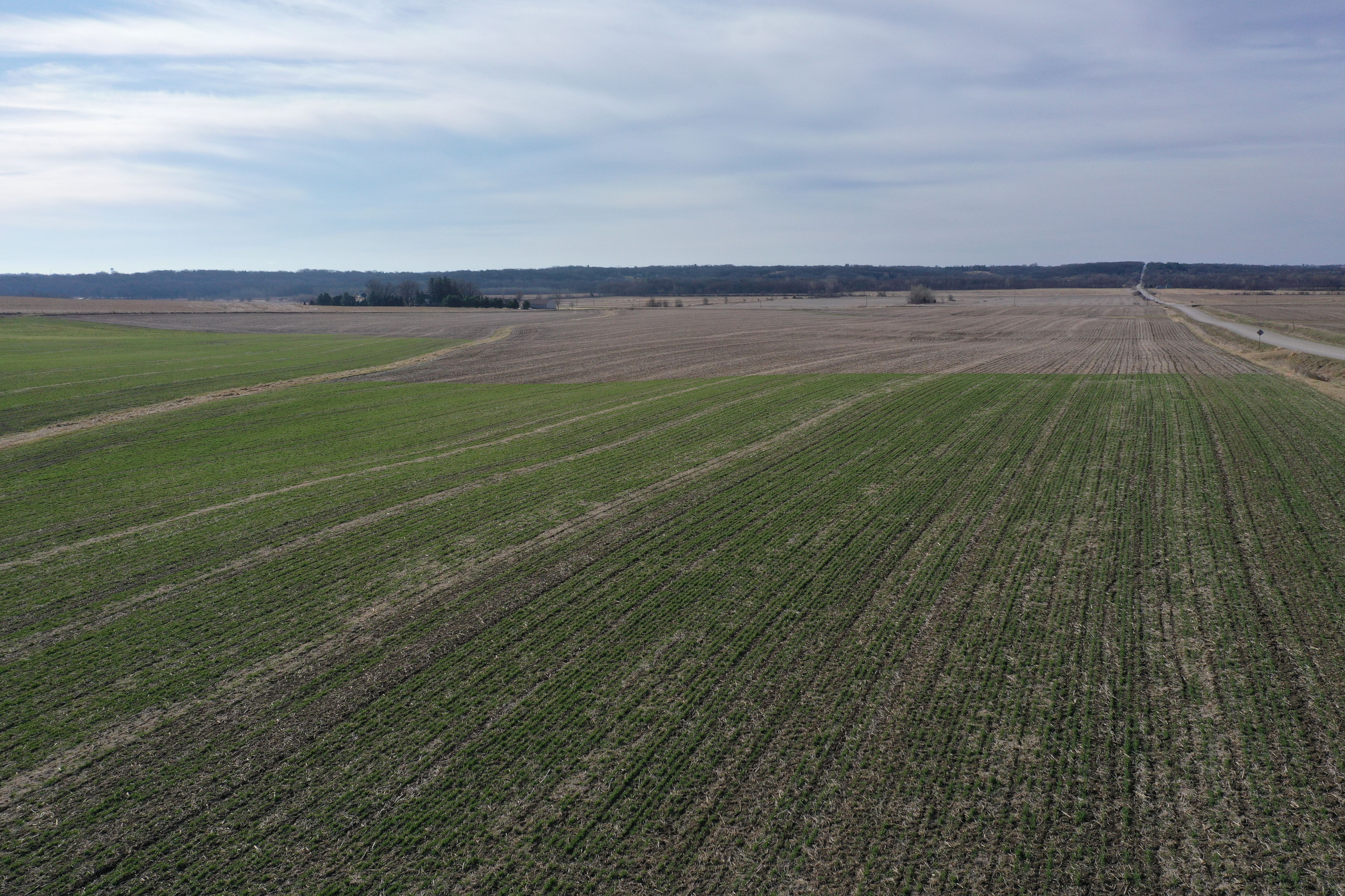 Listing Photo: DJI_0307