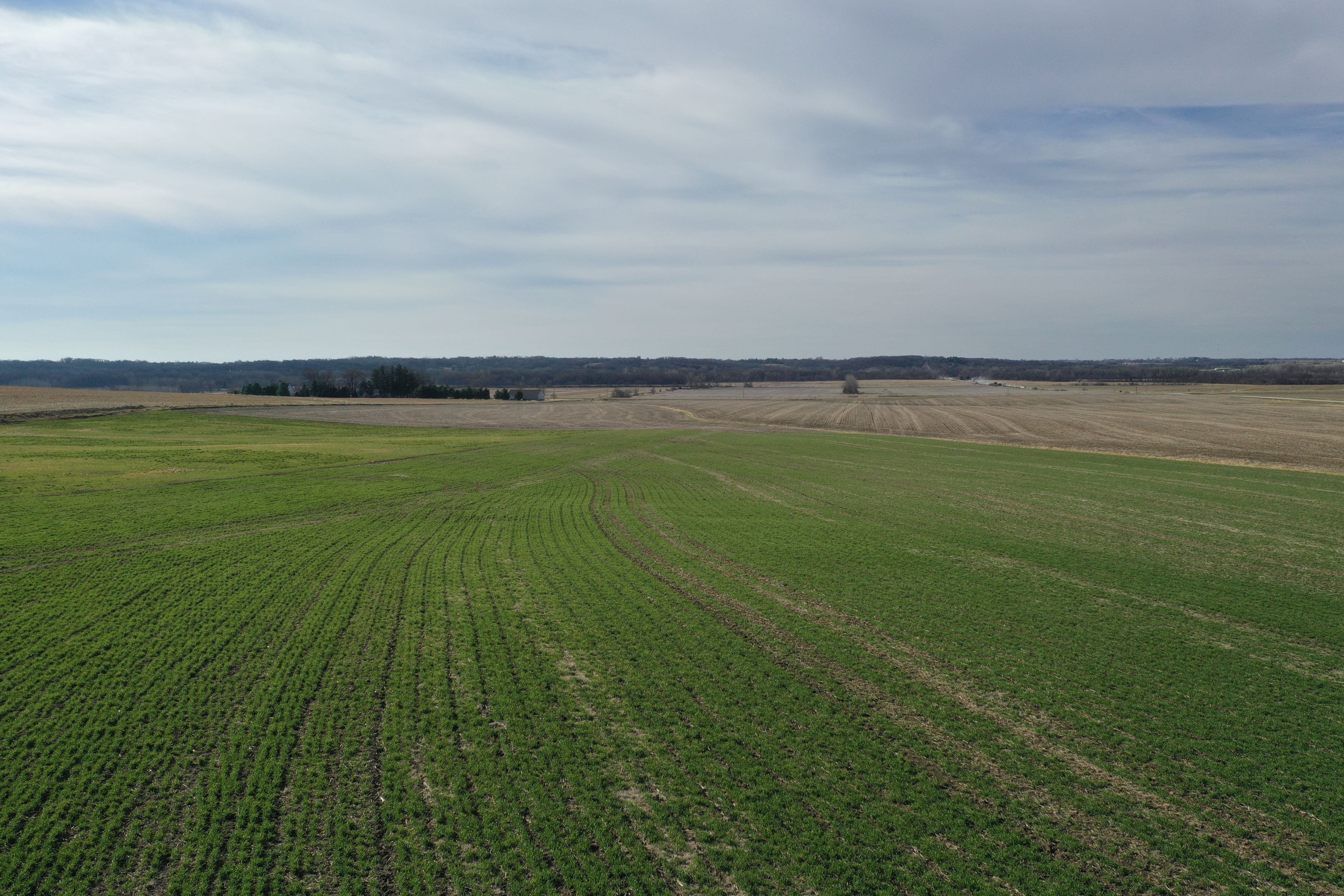 Listing Photo: DJI_0315