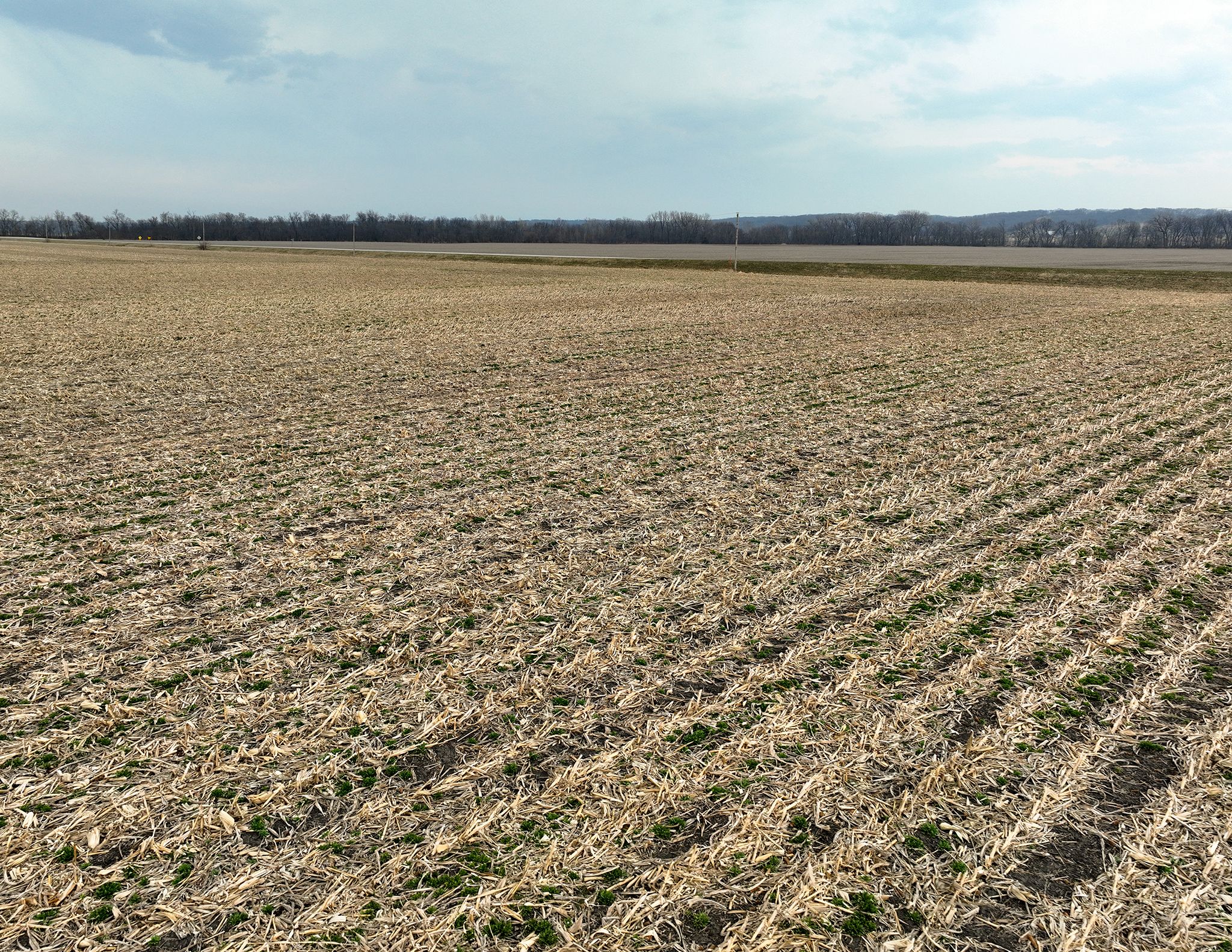 Listing Photo: DJI_0160