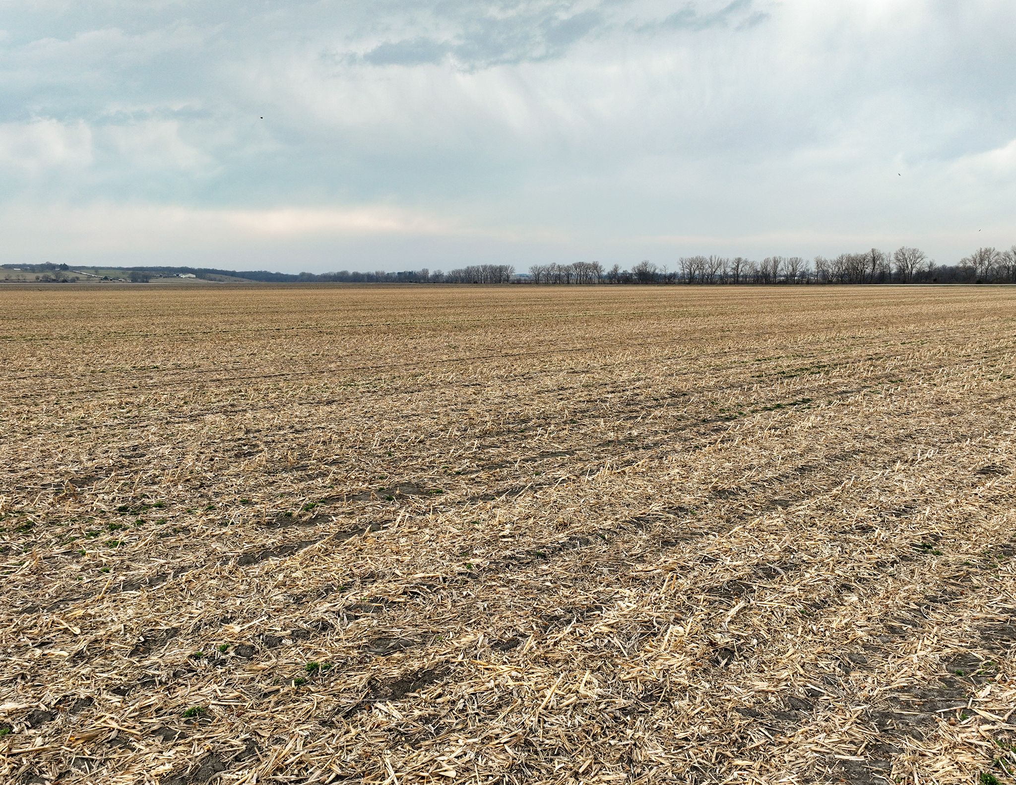 Listing Photo: DJI_0164