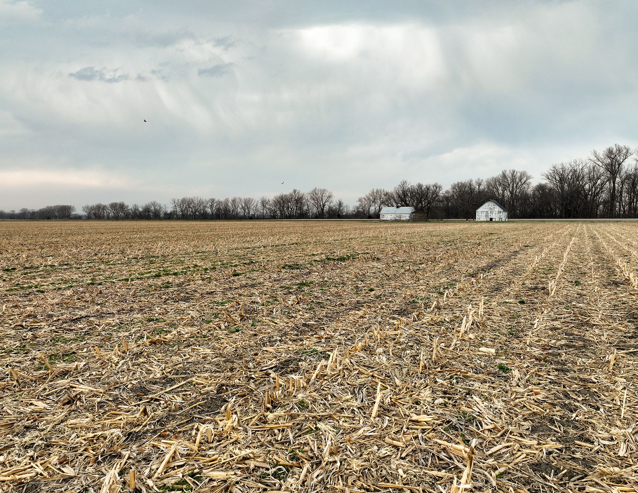 Listing Photo: DJI_0166