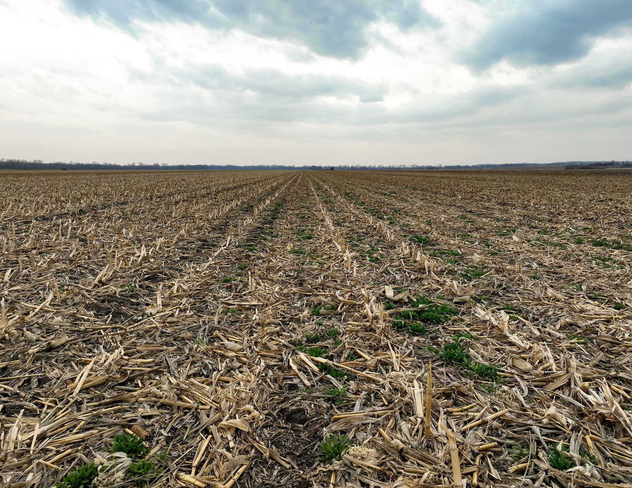 Listing Photo: DJI_0178