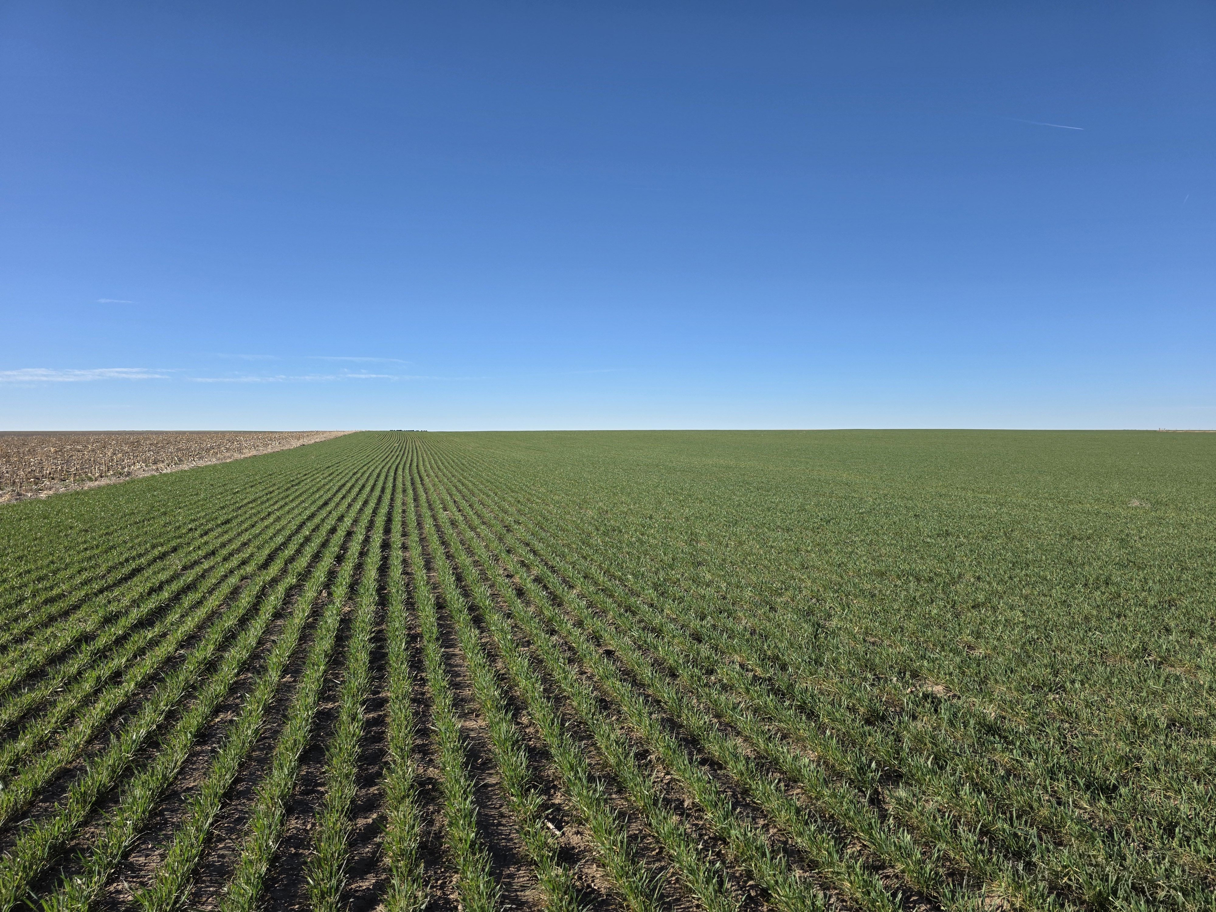 Listing Photo: 20260325_083651