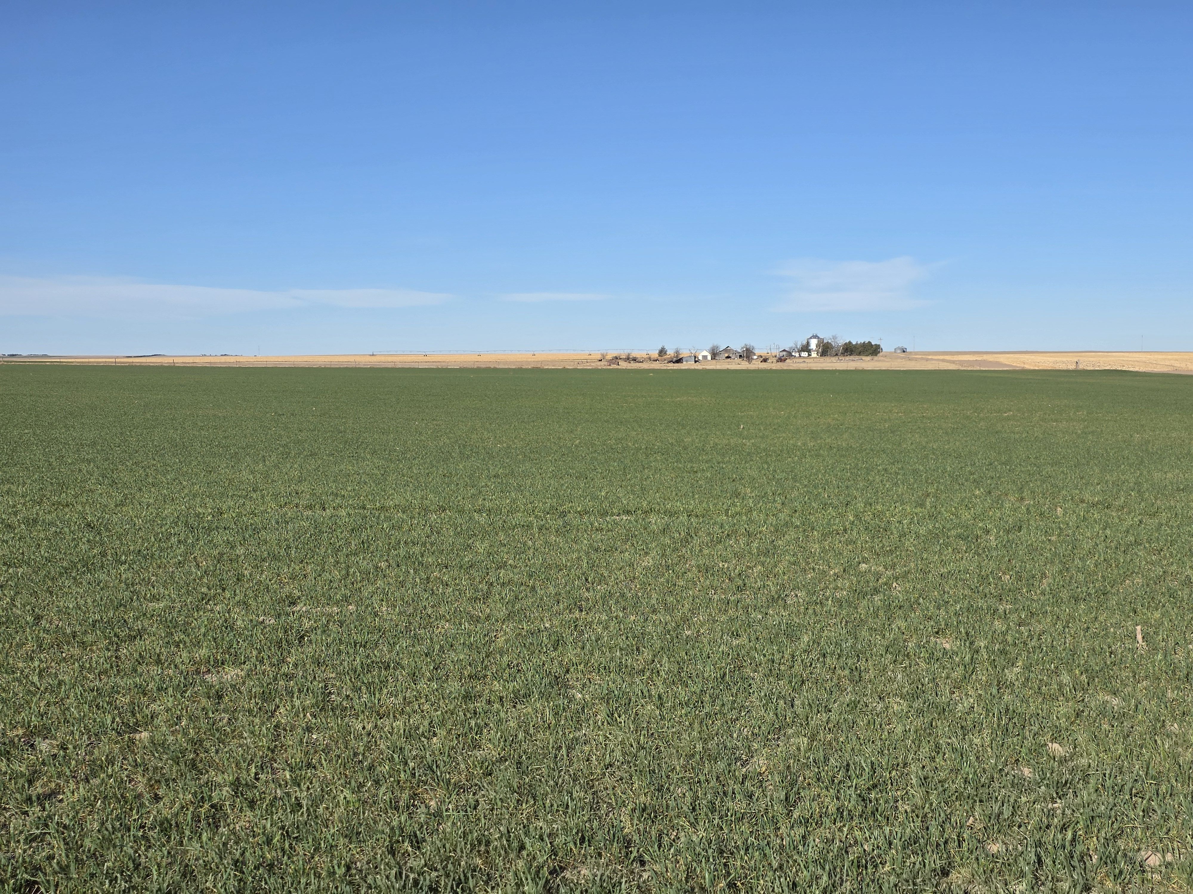 Listing Photo: 20260325_083709