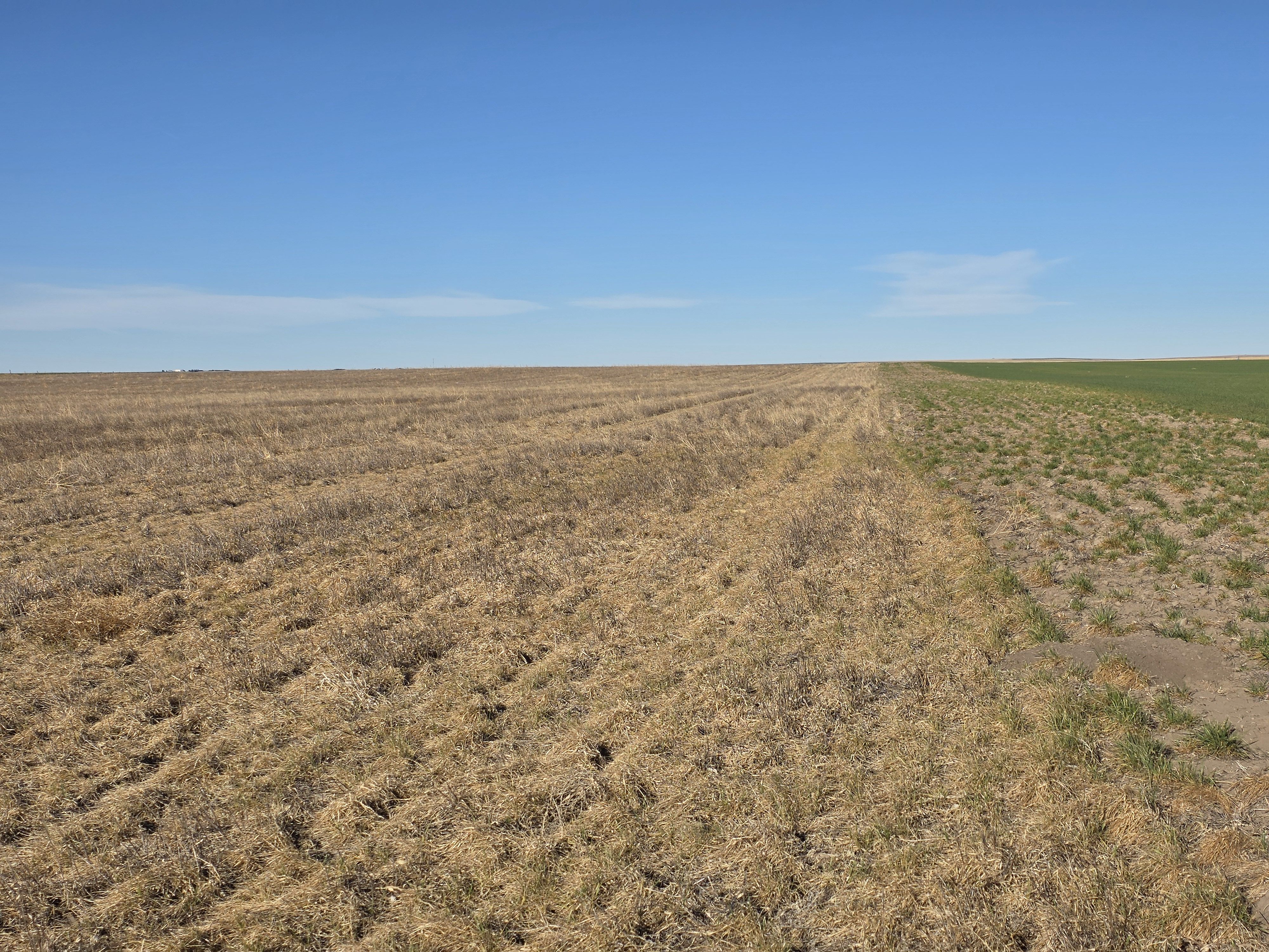 Listing Photo: 20260325_084037