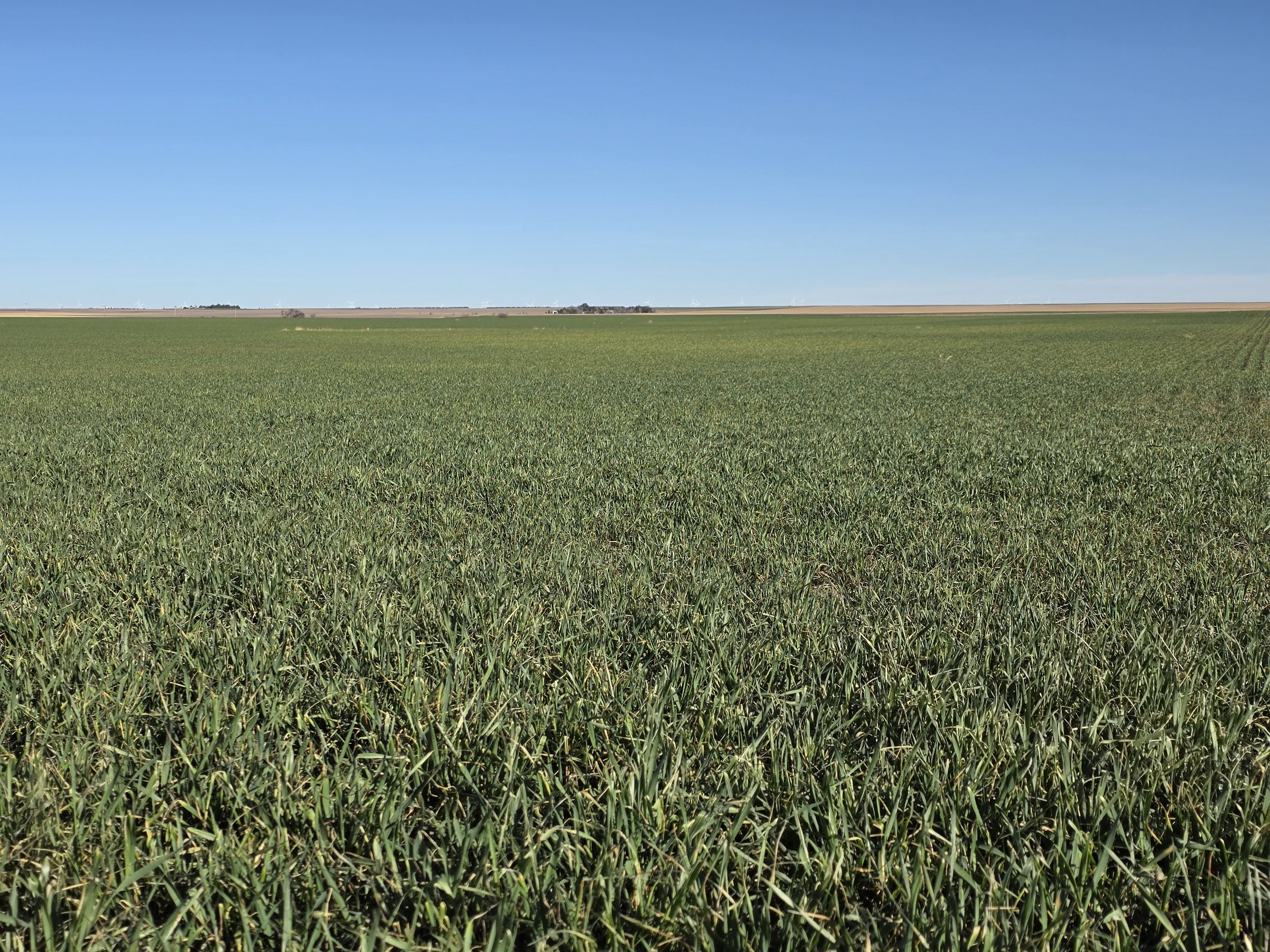 Listing Photo: 20260325_084050