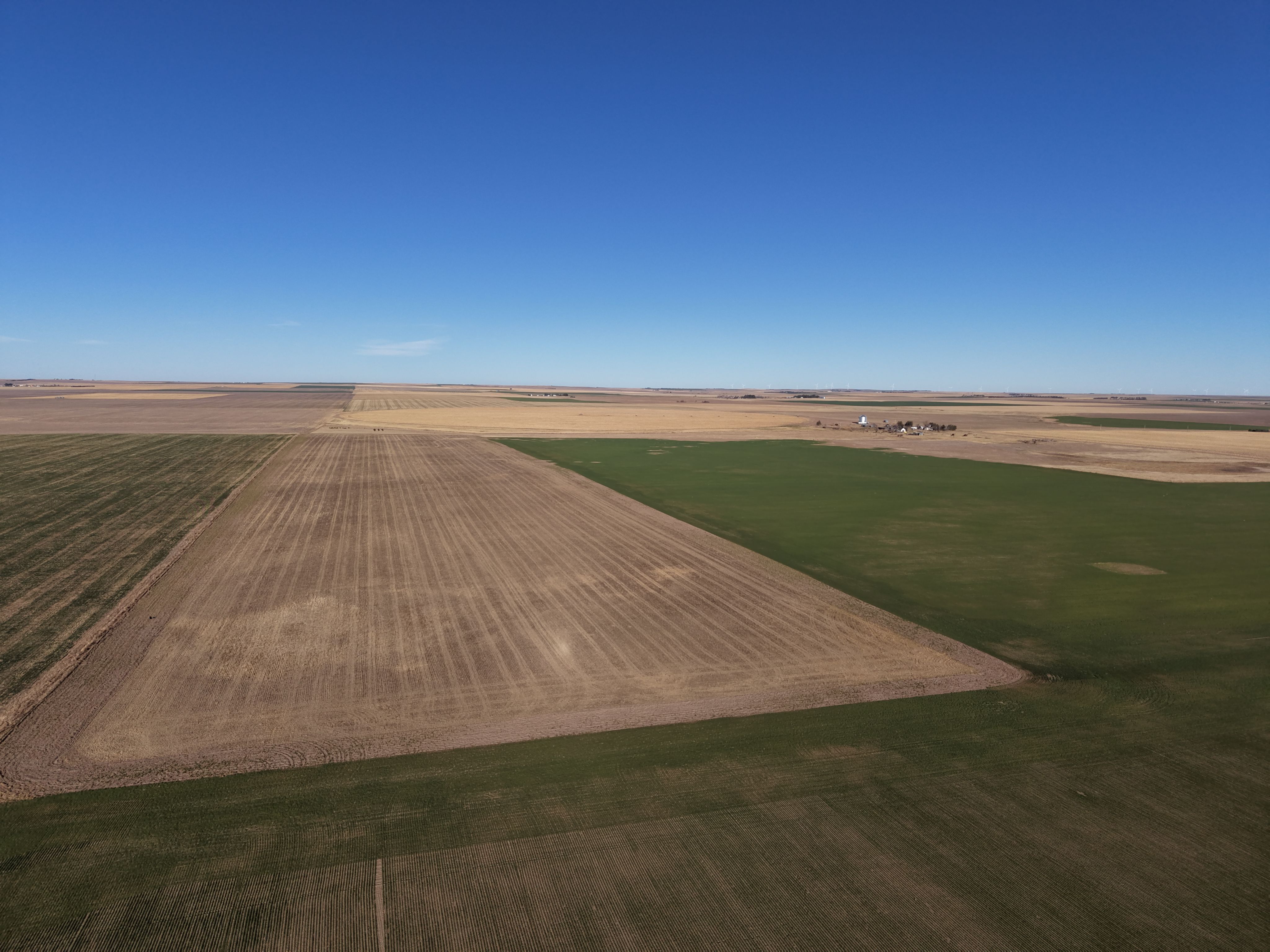 Listing Photo: dji_fly_20260325_082350_0057_1774452156699_photo