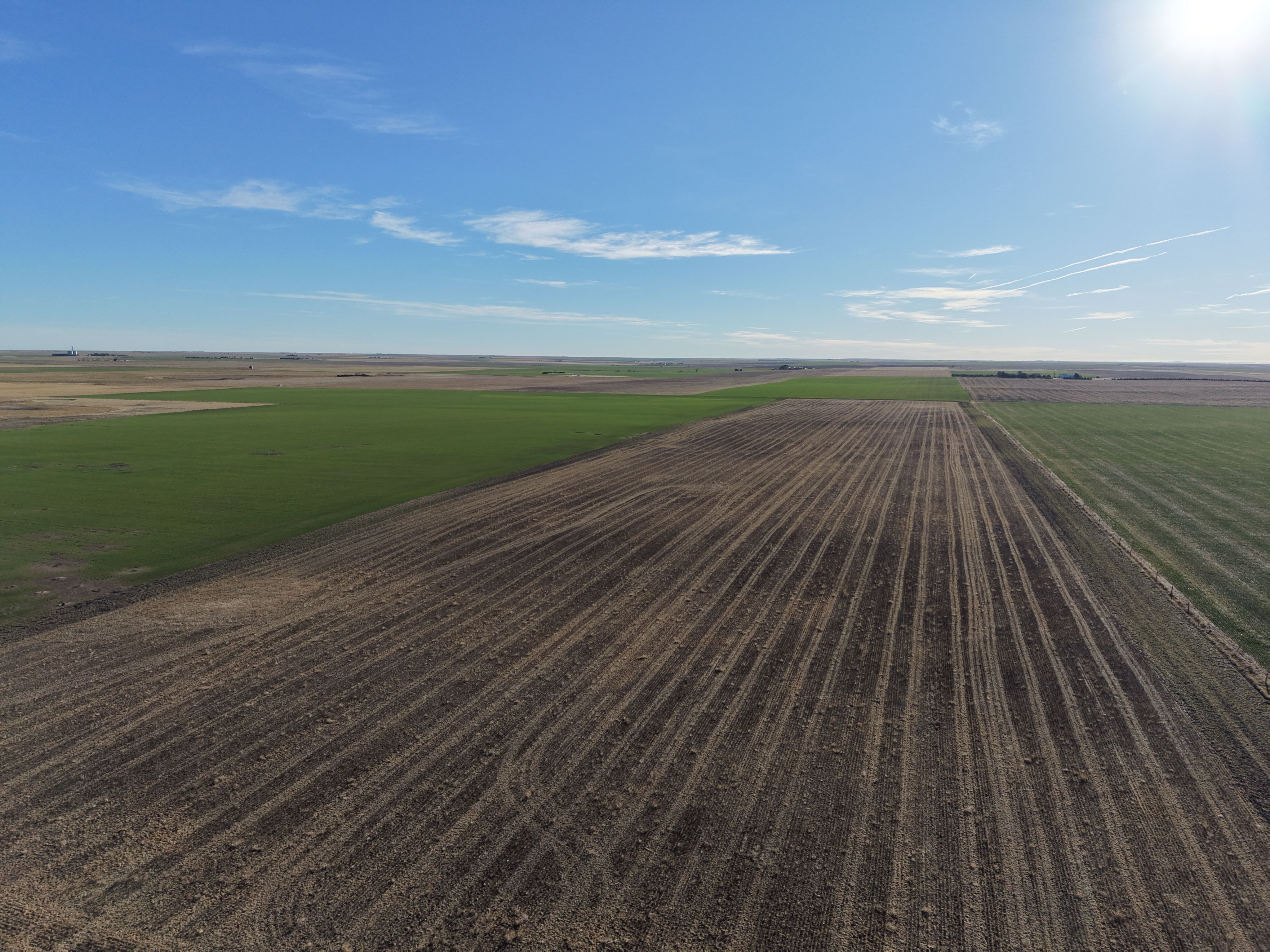 Listing Photo: dji_fly_20260325_082636_0064_1774452152728_photo