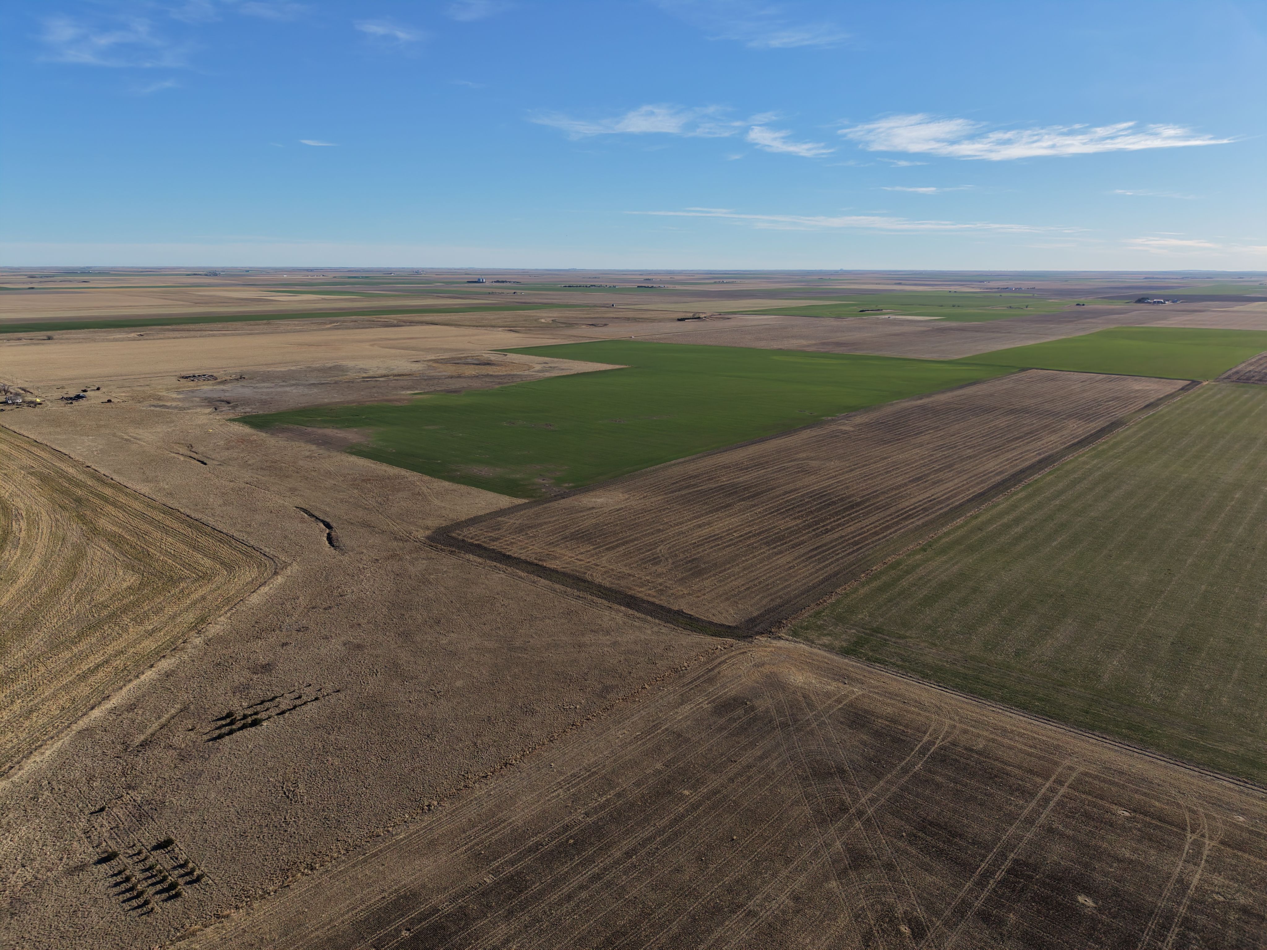 Listing Photo: dji_fly_20260325_082728_0065_1774452152562_photo