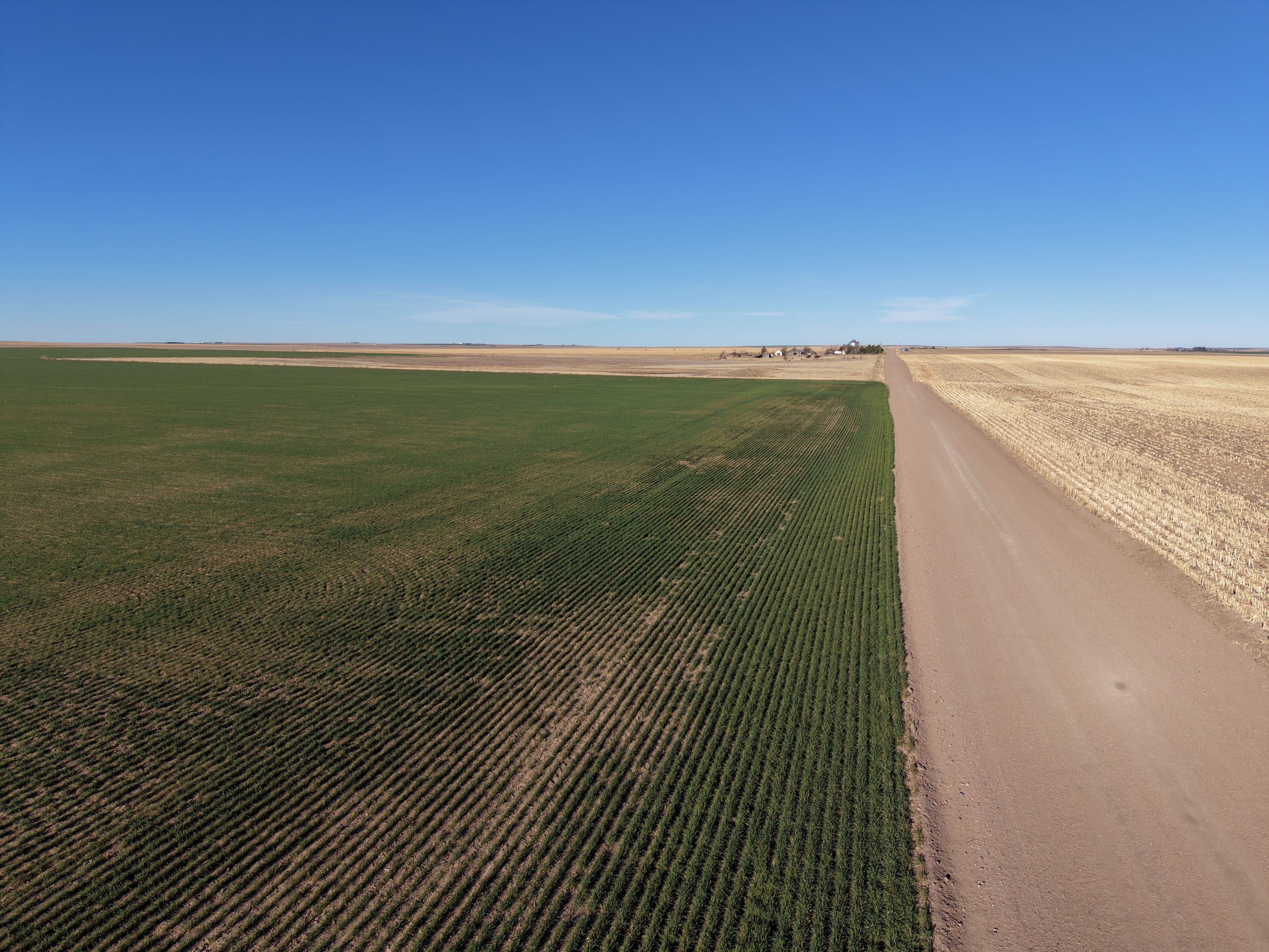 Listing Photo: dji_fly_20260325_083324_0084_1774452140795_photo