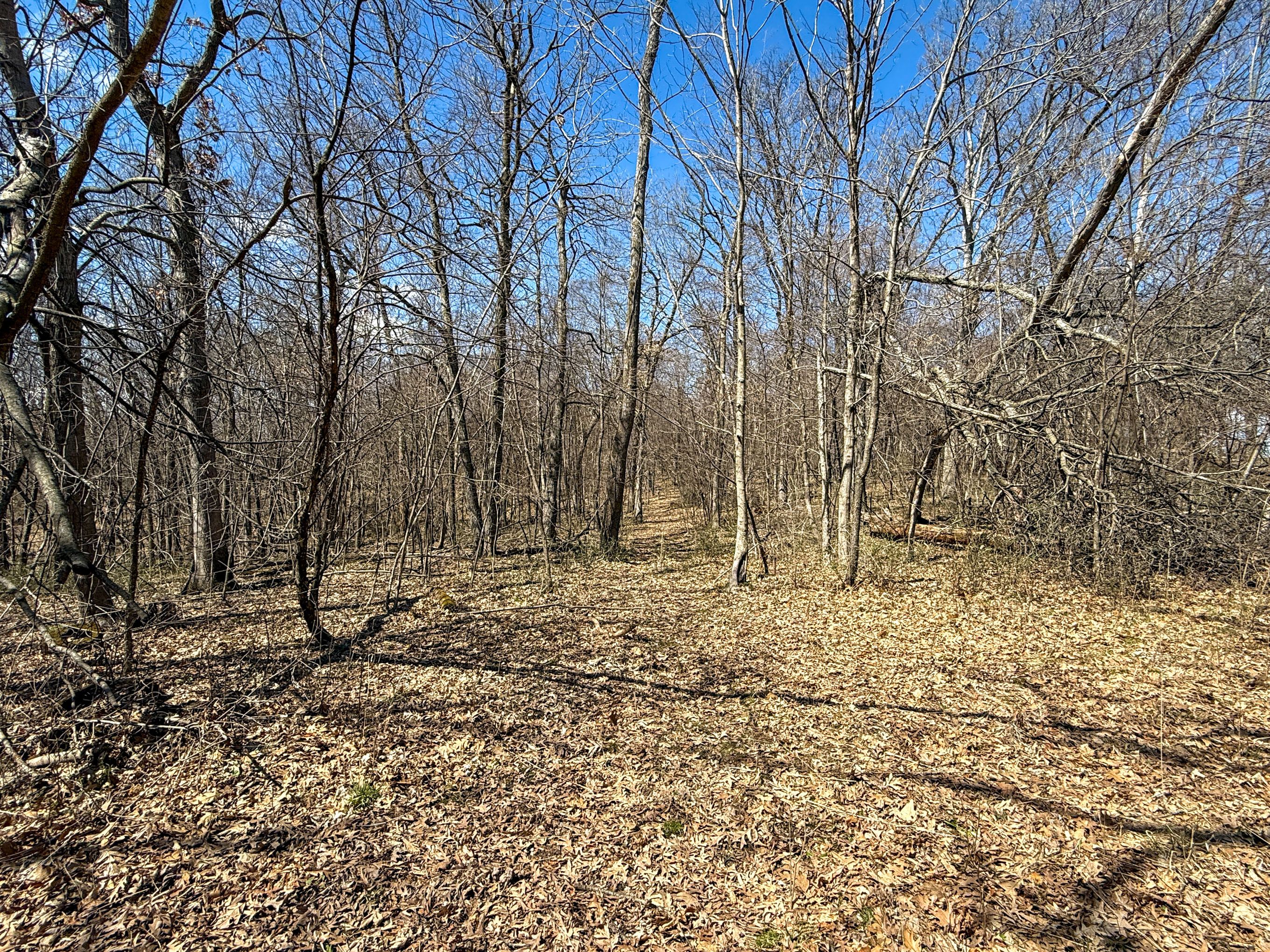 Listing Photo: IMG_3964