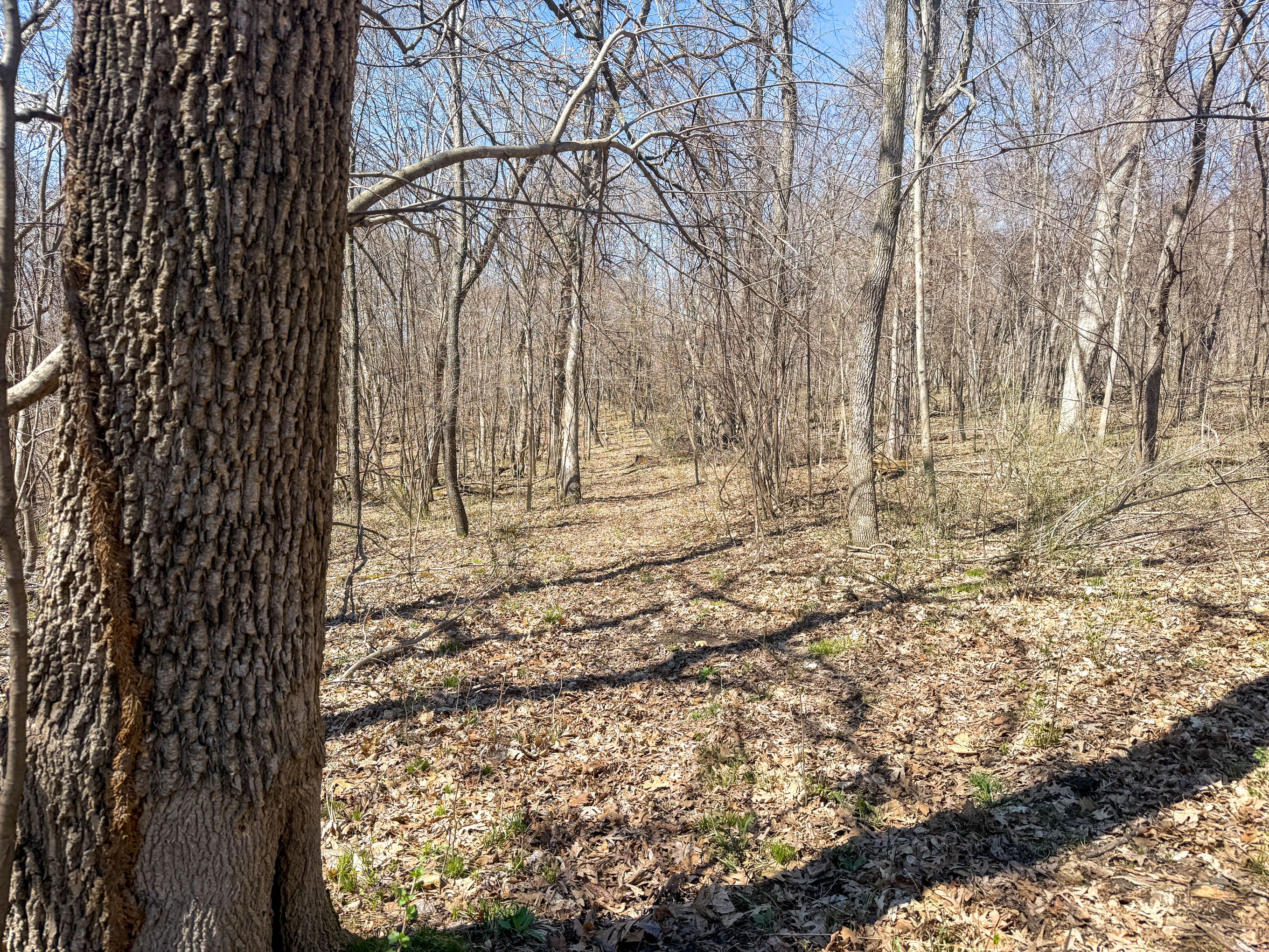 Listing Photo: IMG_3970