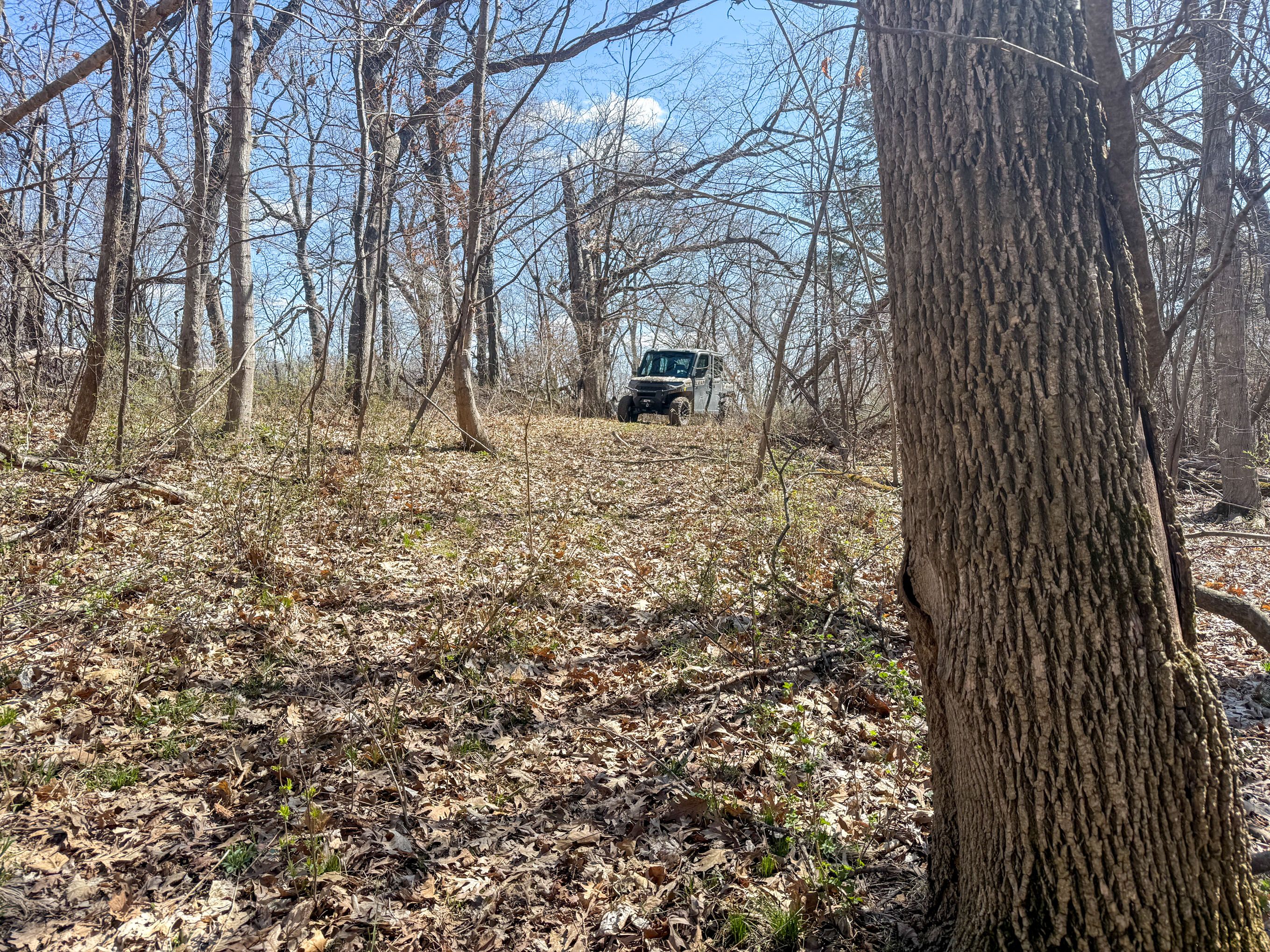 Listing Photo: IMG_3971