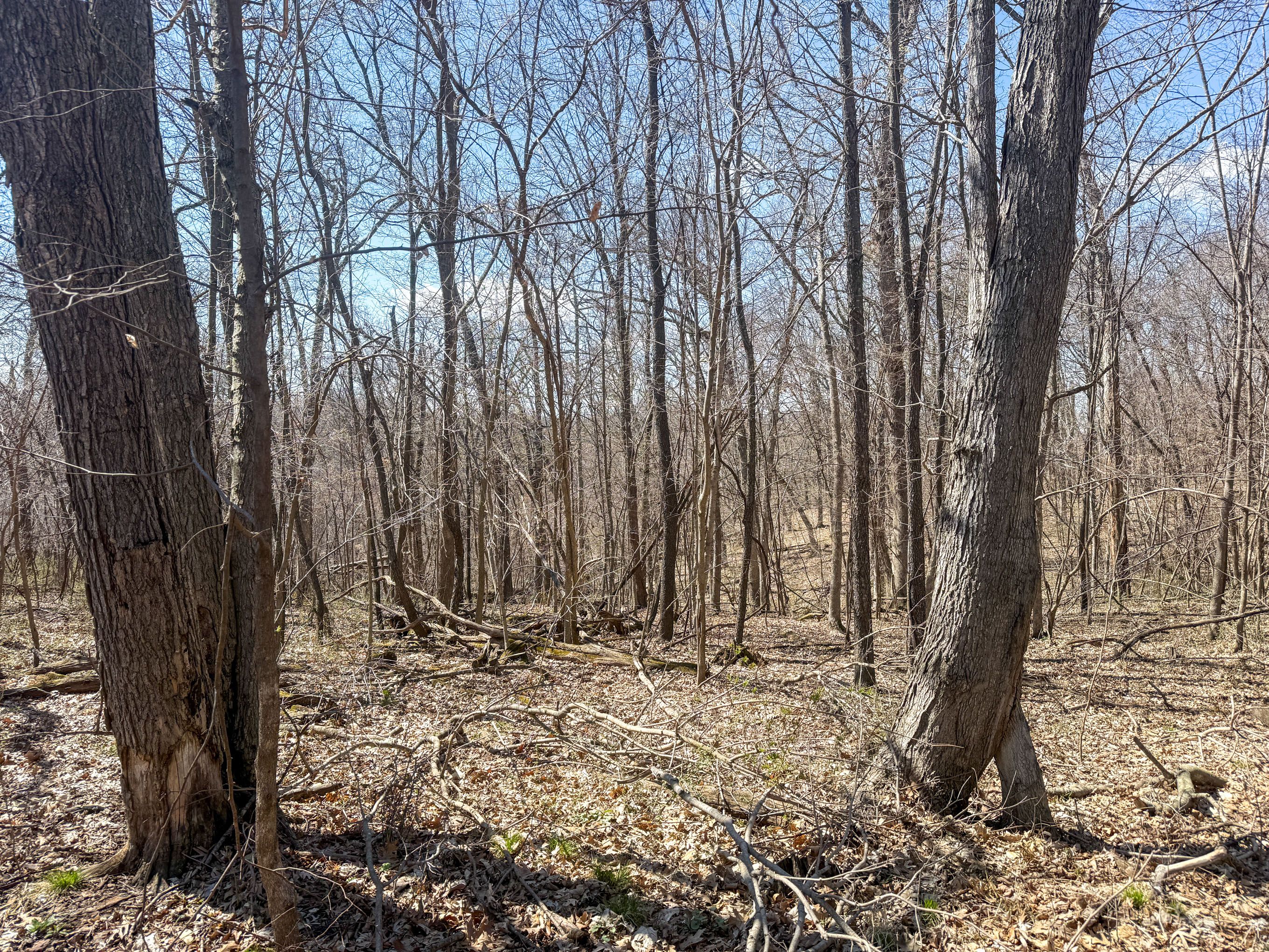 Listing Photo: IMG_3972