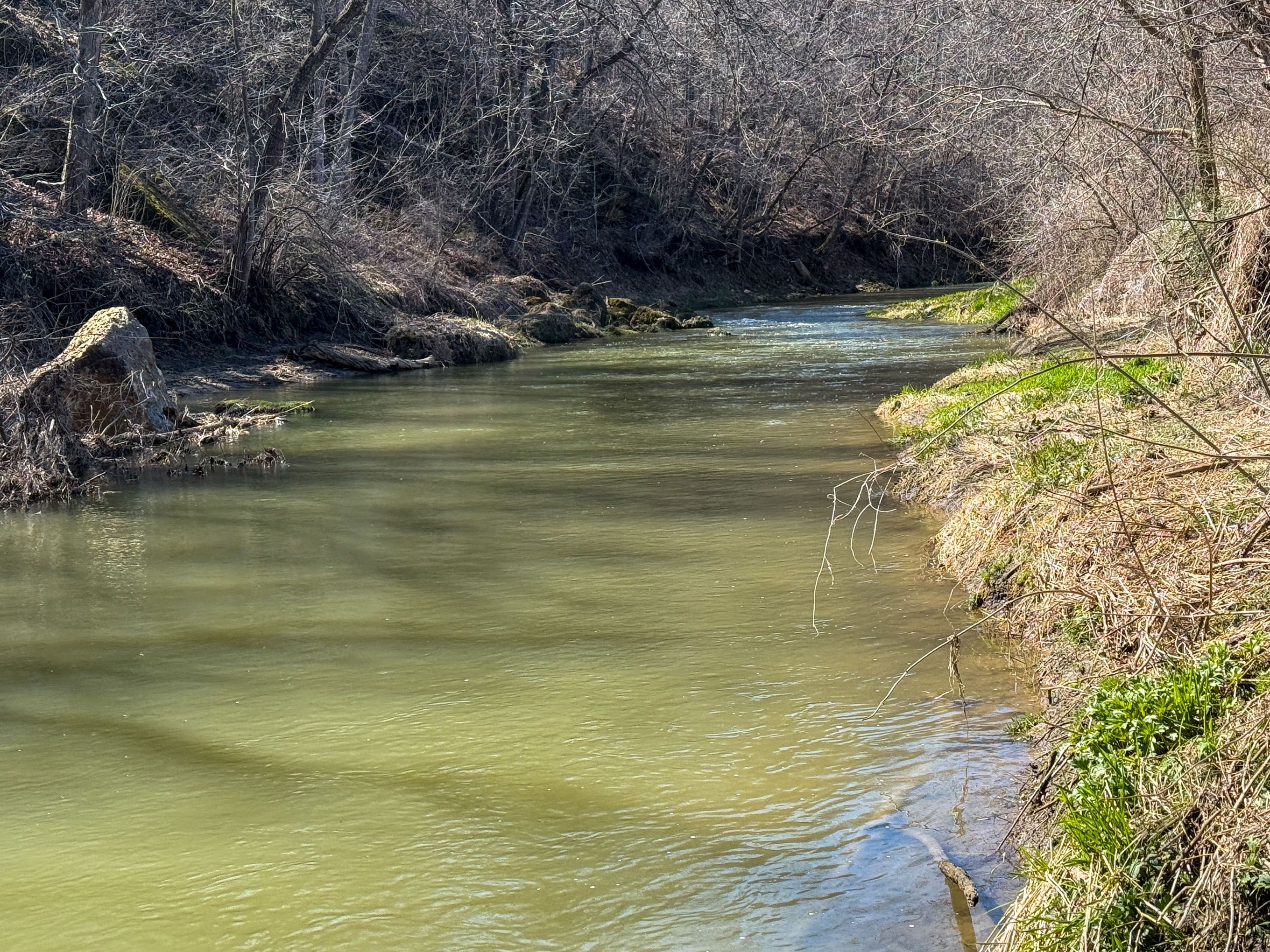 Listing Photo: IMG_3975