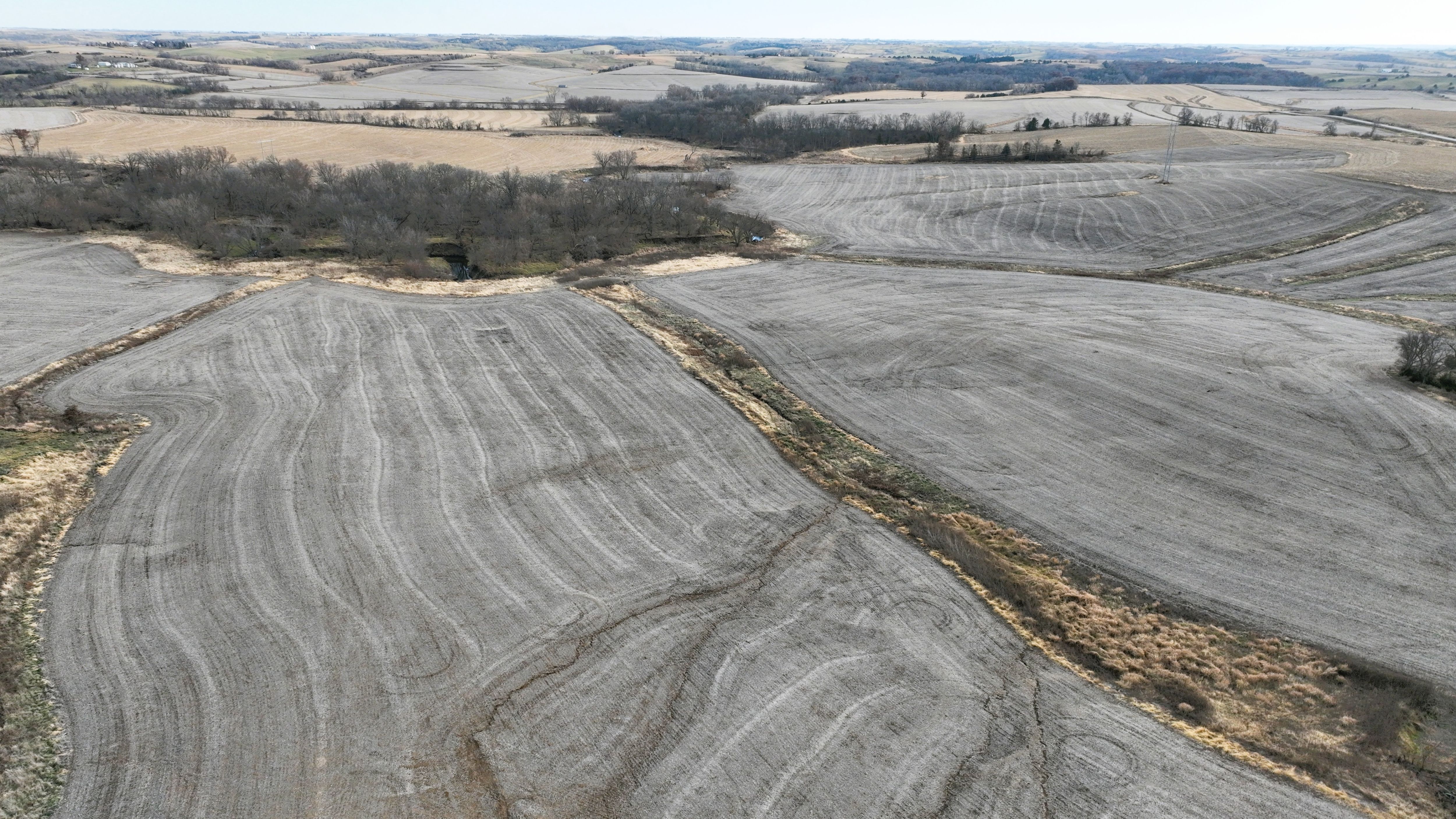 Listing Photo: Cass County, Iowa Farmland For Sale
