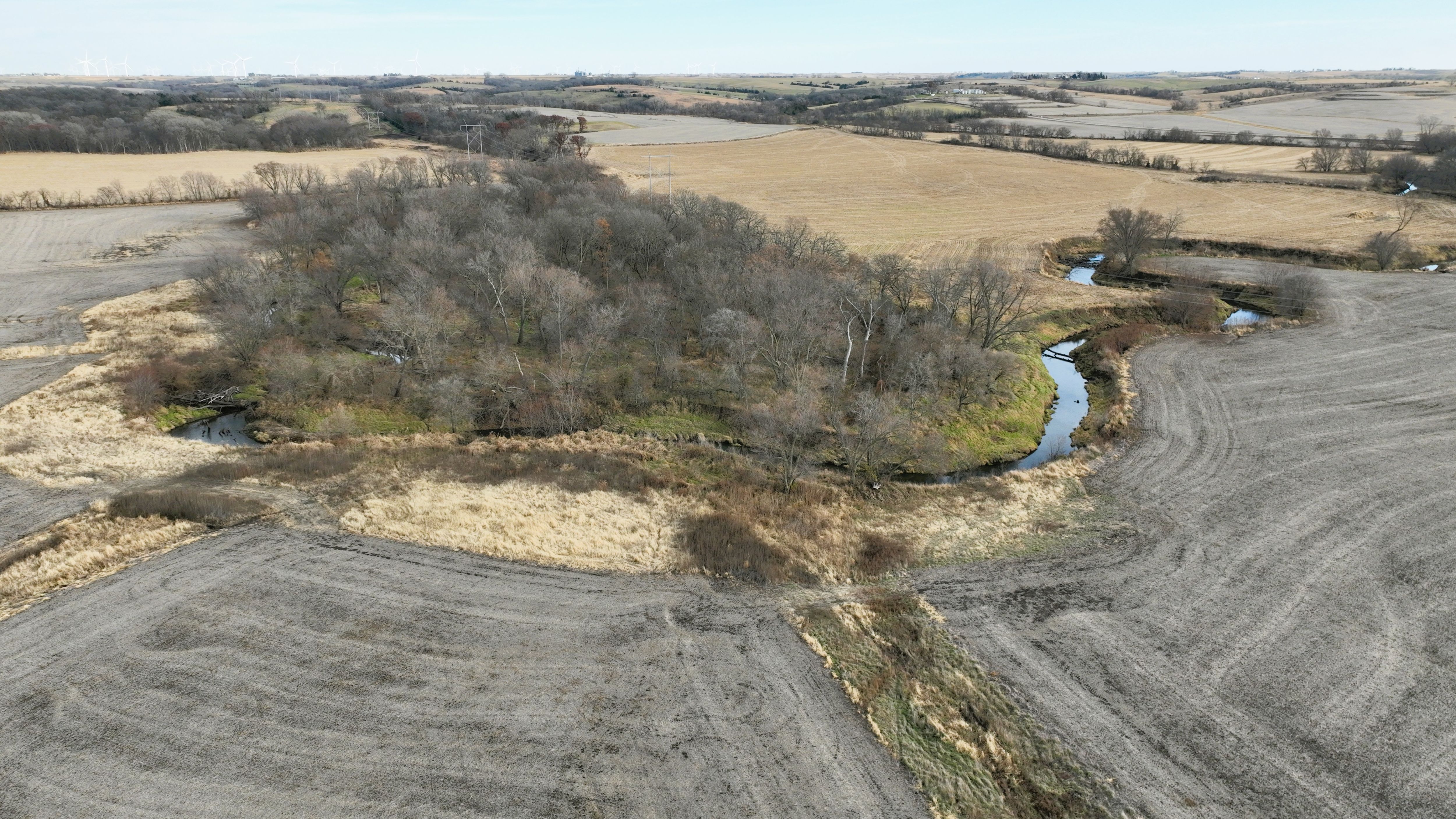 Listing Photo: Cass County, Iowa Farmland For Sale
