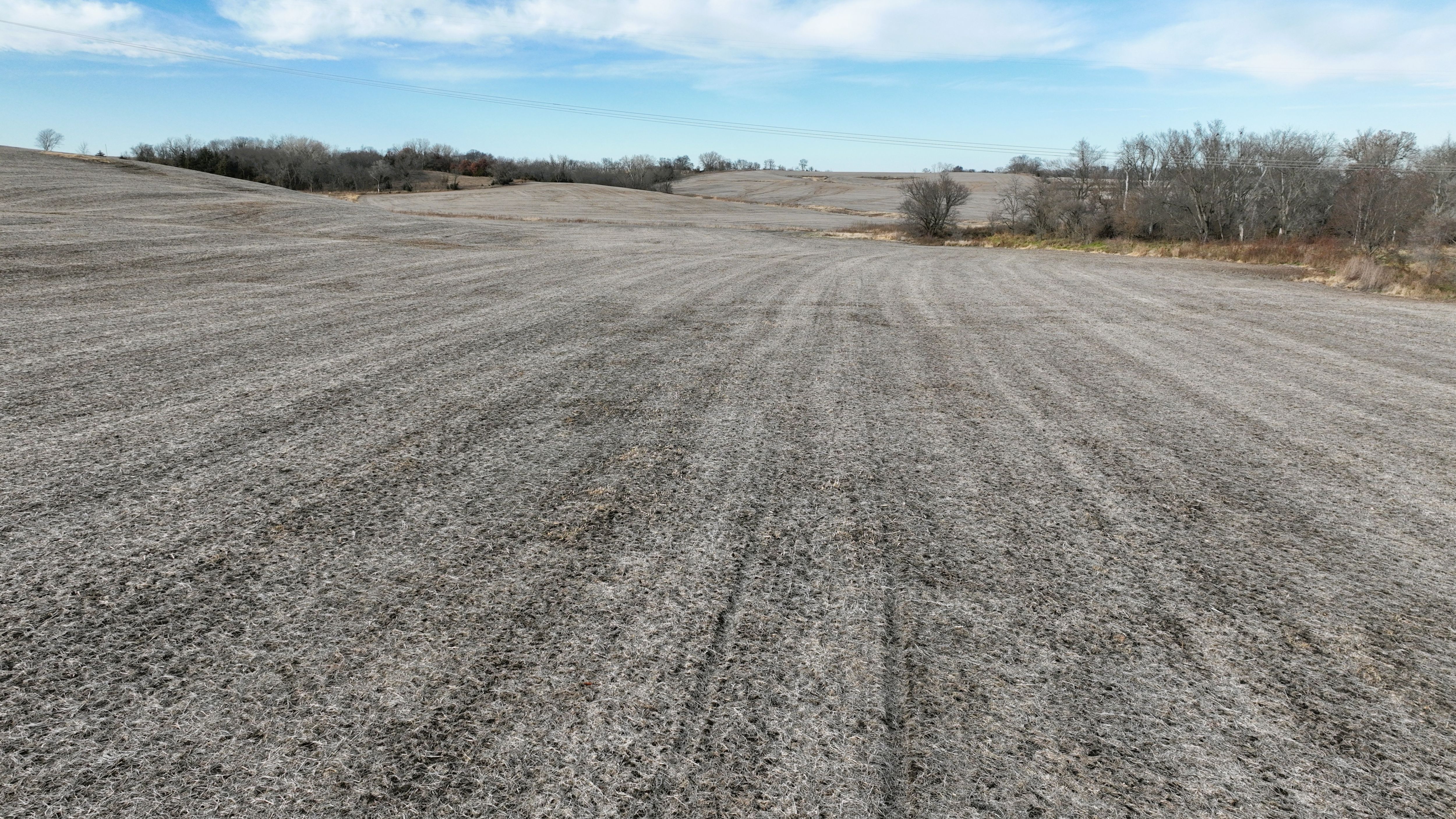 Listing Photo: Cass County, Iowa Farmland For Sale