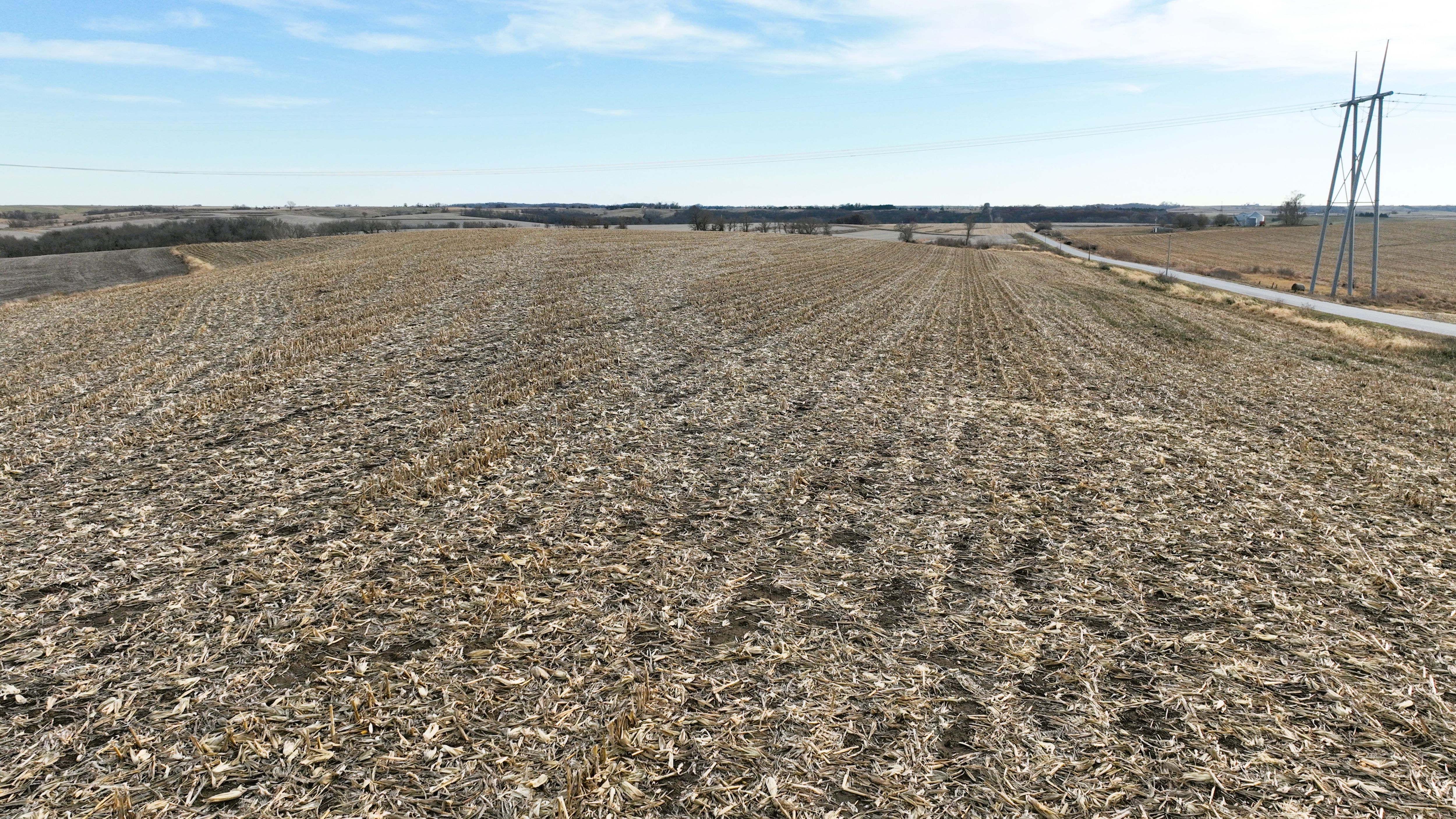 Listing Photo: Cass County, Iowa Farmland For Sale
