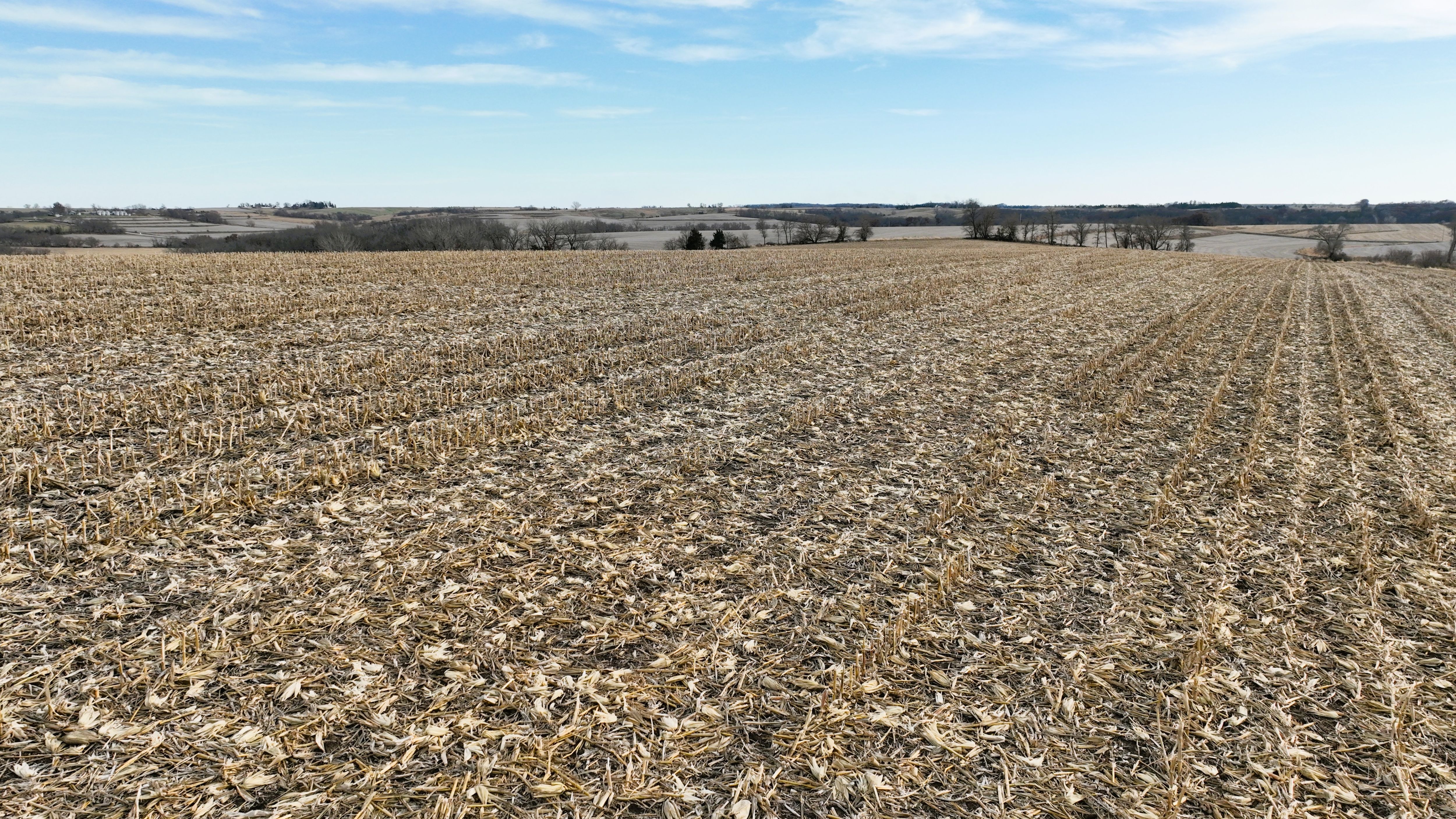 Listing Photo: Cass County, Iowa Farmland For Sale