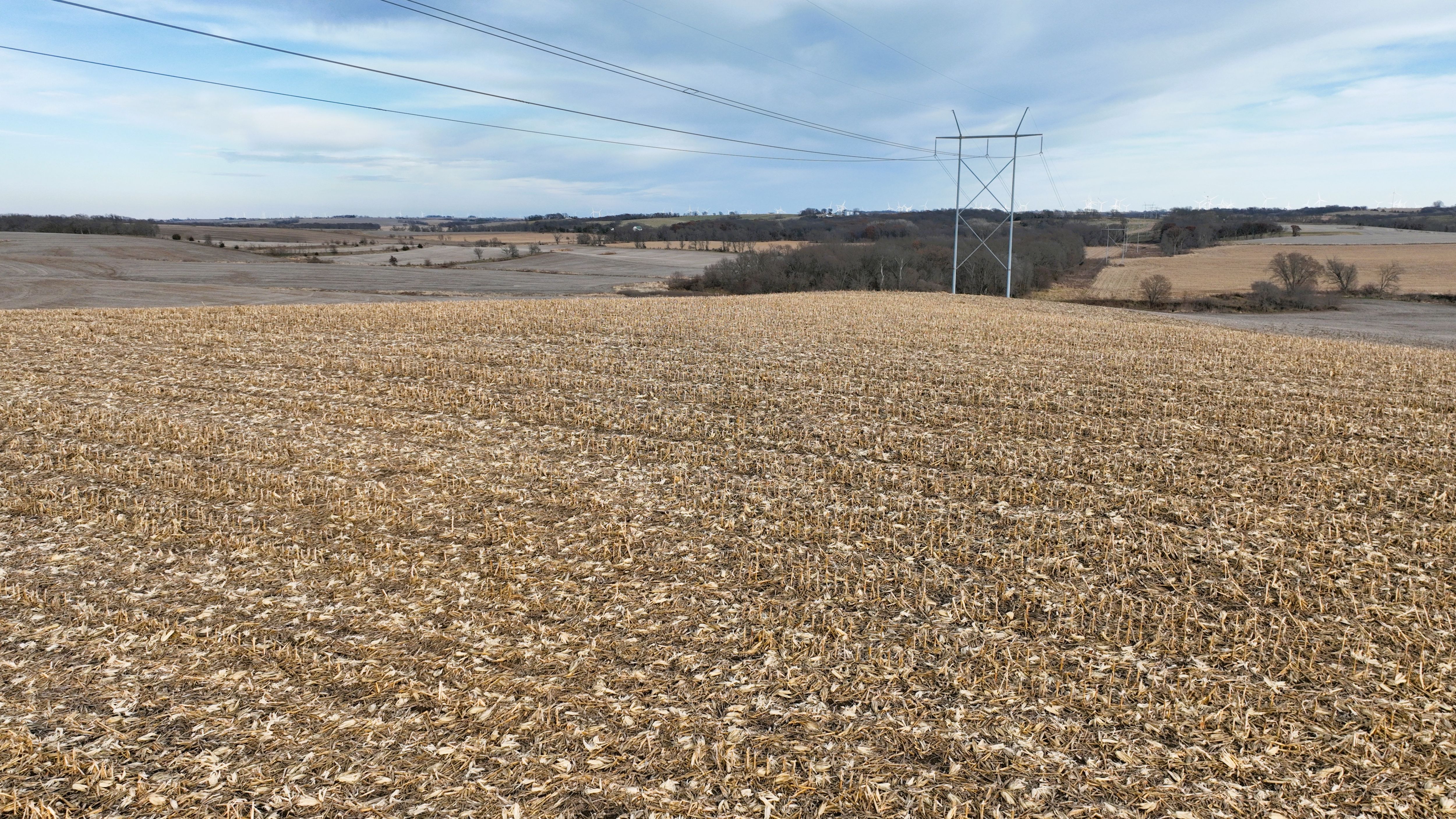Listing Photo: Cass County, Iowa Farmland For Sale