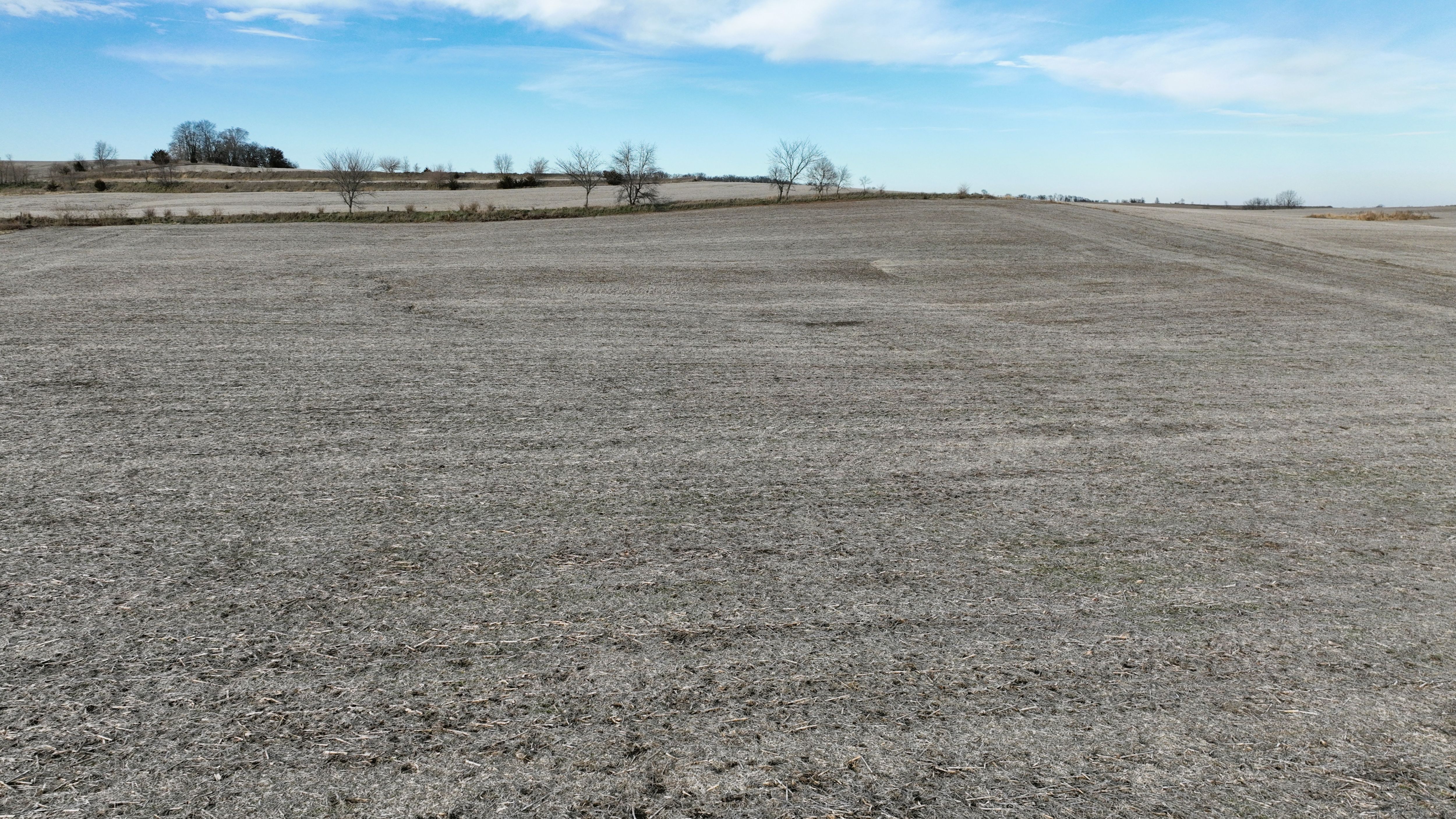 Listing Photo: Cass County, Iowa Farmland For Sale