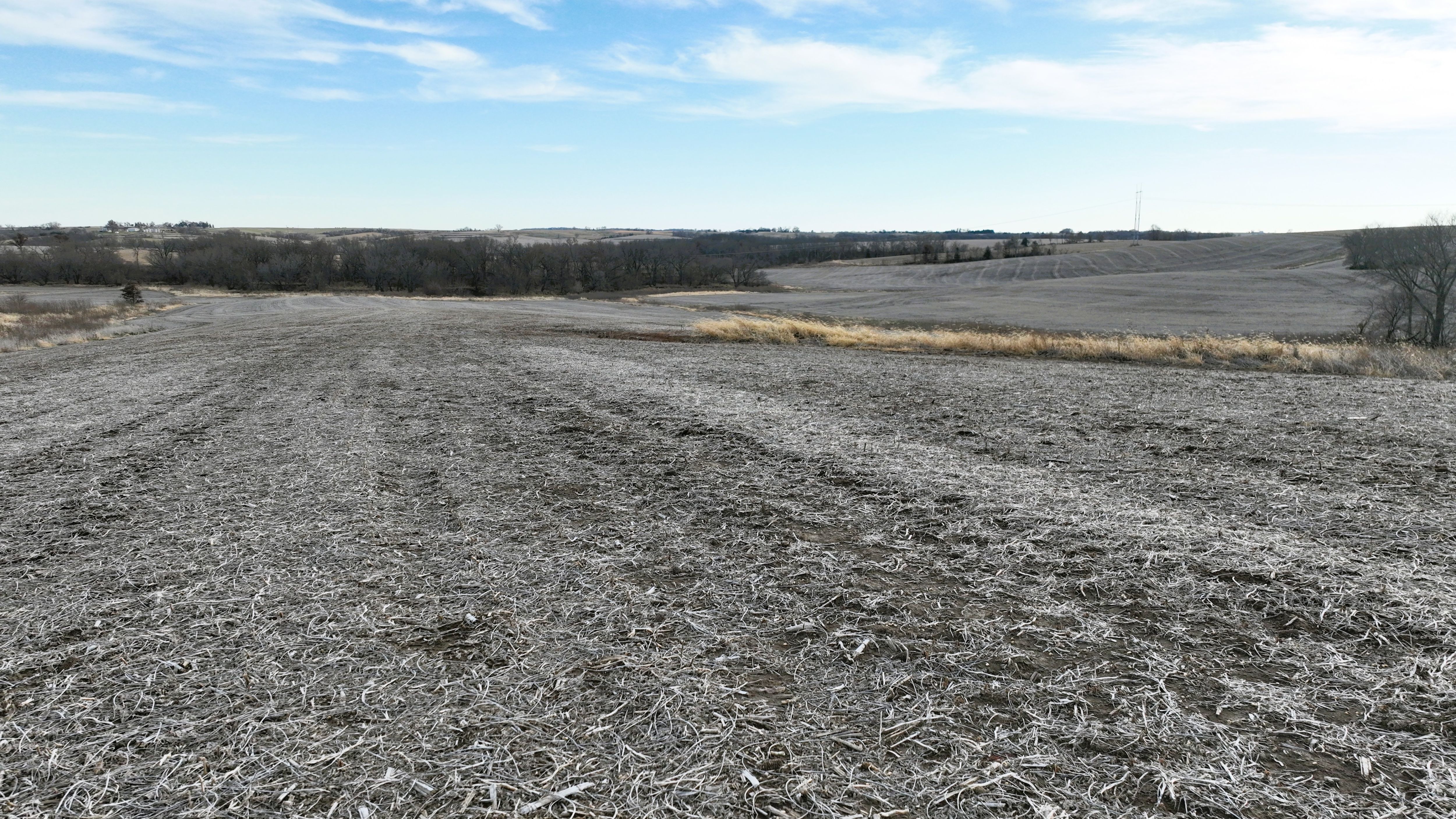 Listing Photo: Cass County, Iowa Farmland For Sale