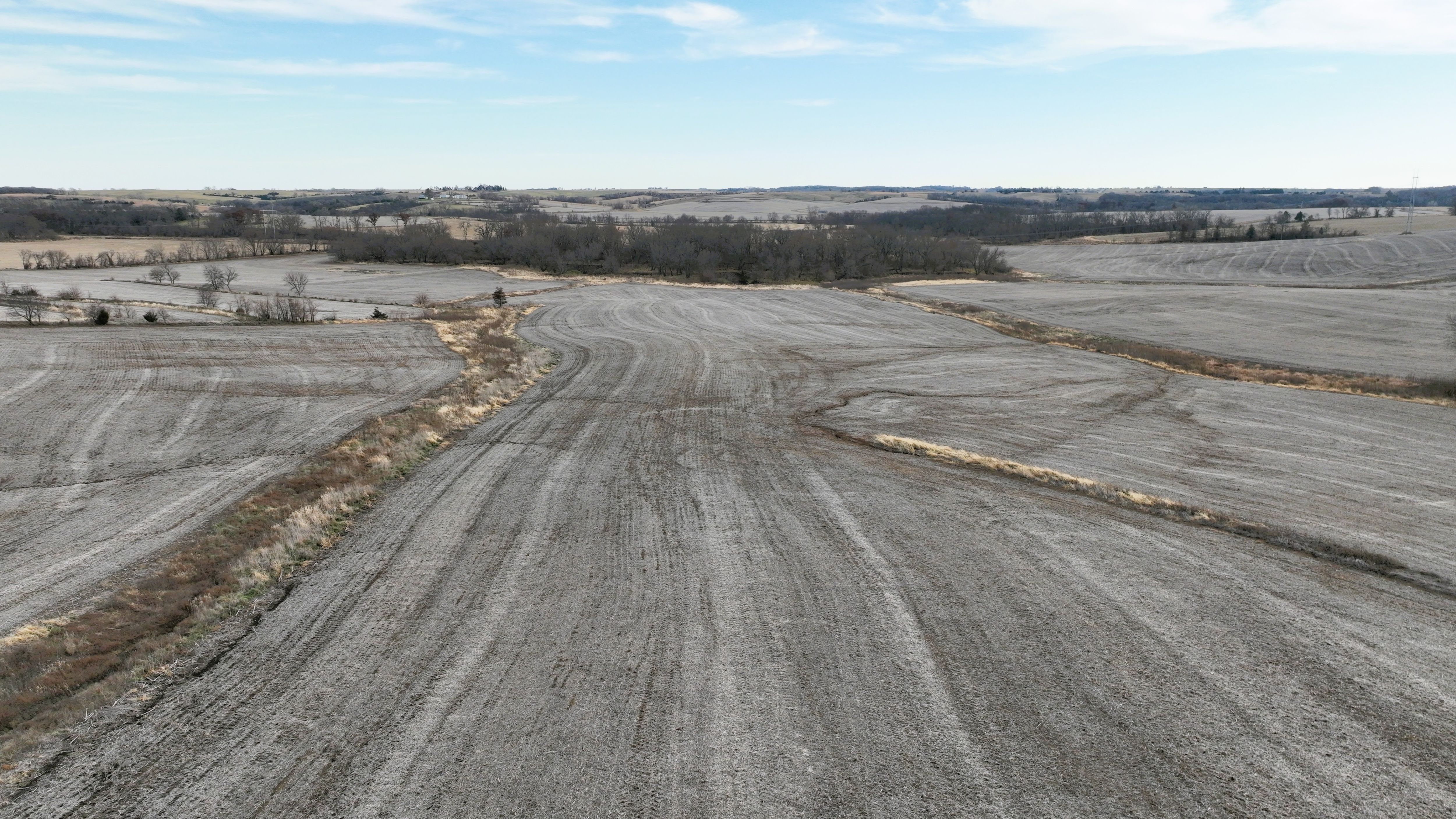 Listing Photo: Cass County, Iowa Farmland For Sale