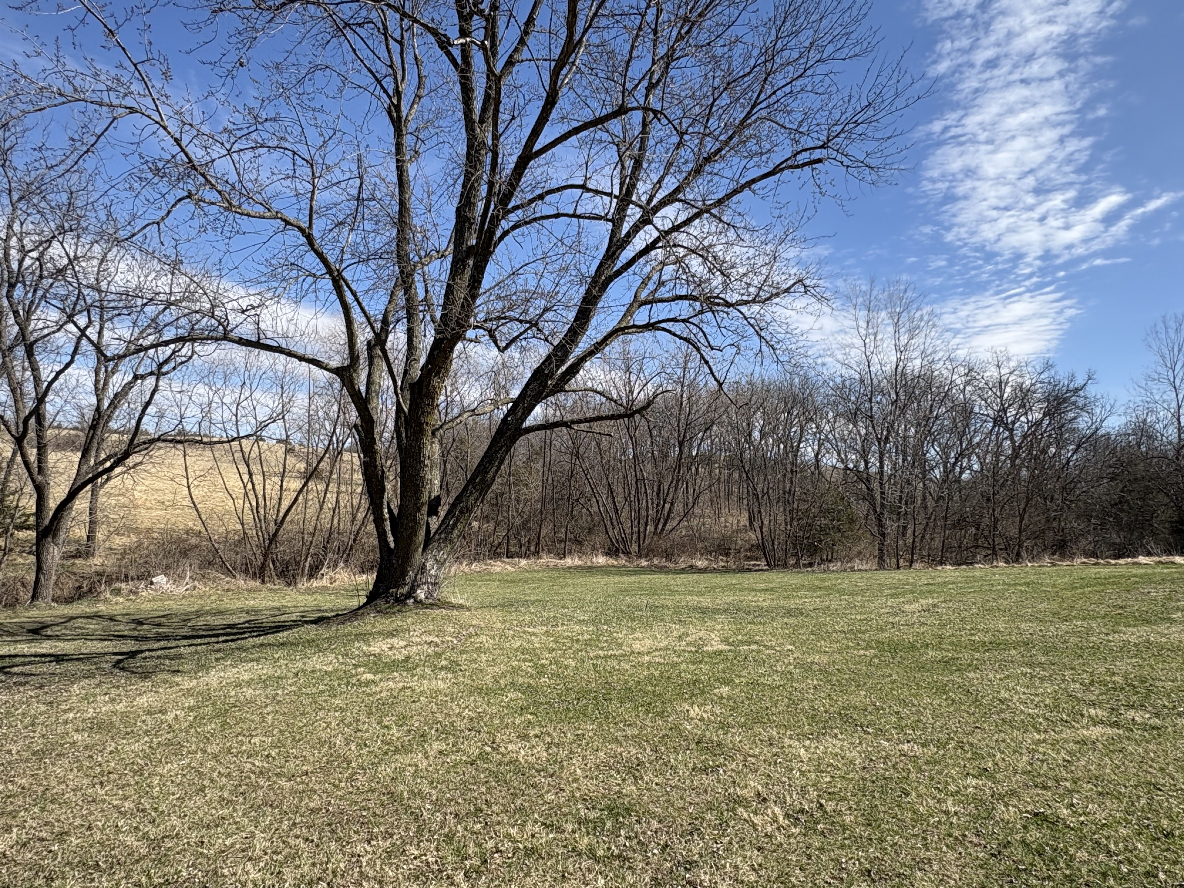 Listing Photo: IMG_8809