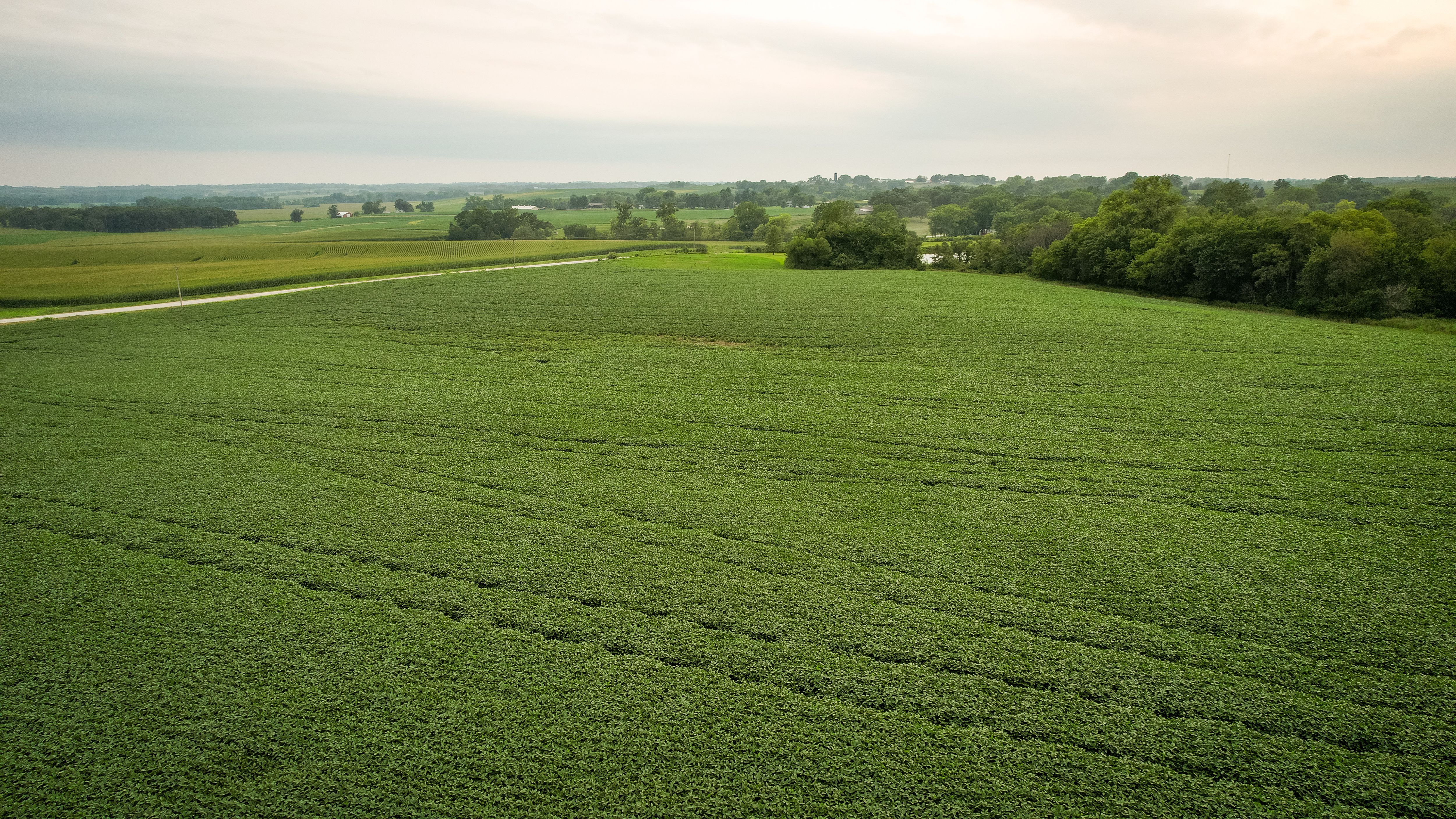 Listing Photo: DJI_0559